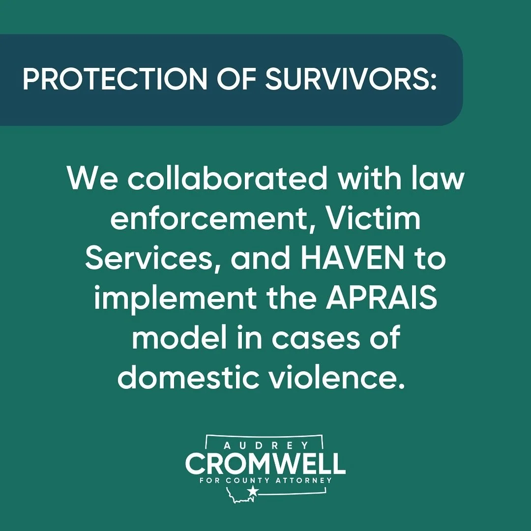 Prior to my term, the County Attorney&rsquo;s Office neither required (nor provided) trauma informed training to attorneys interacting with survivors of domestic violence. 
&nbsp;
This year, our office had the privilege of collaborating with law enfo