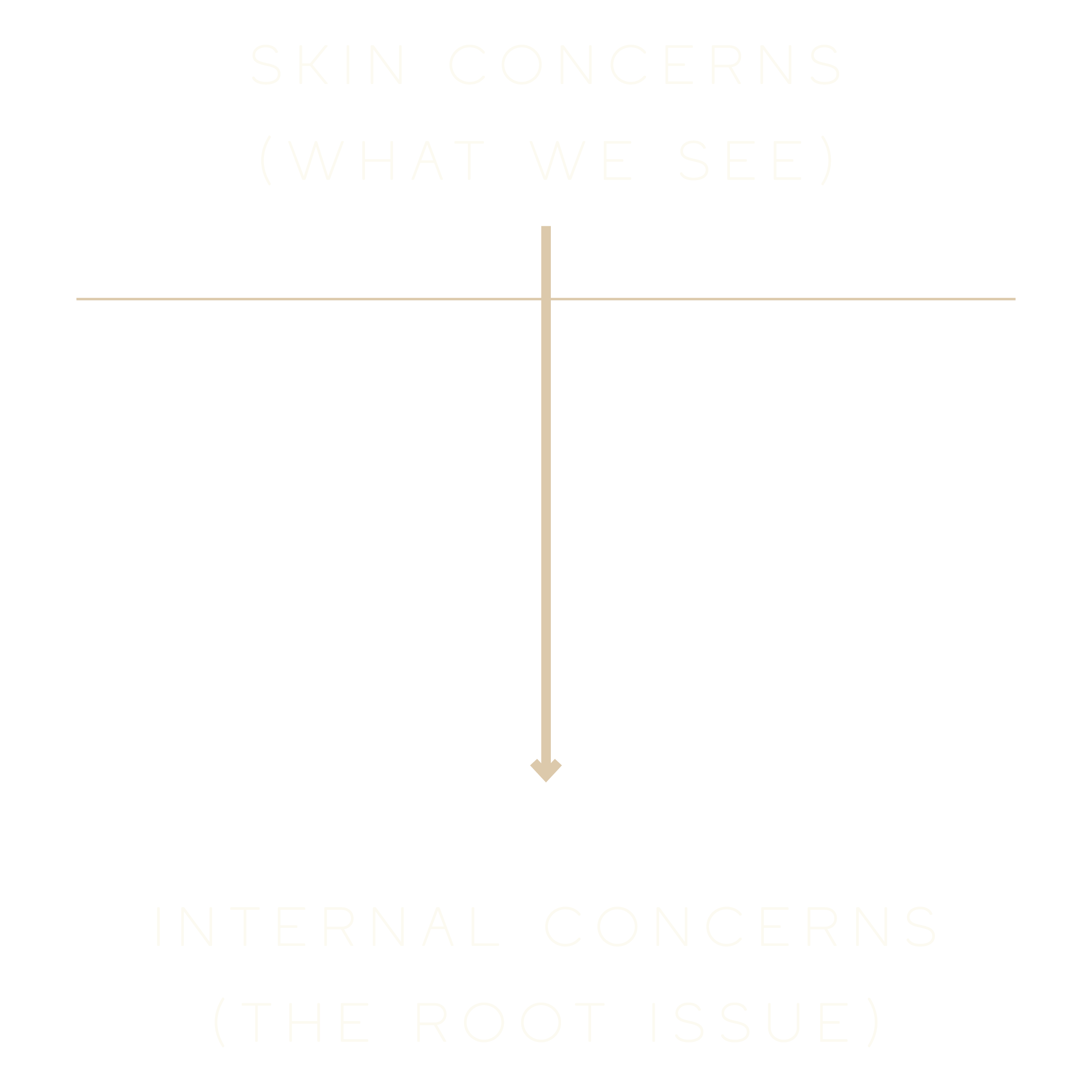Illustration that demonstrates how skin concerns we see on the surface are often caused by an internal issue in the body.
