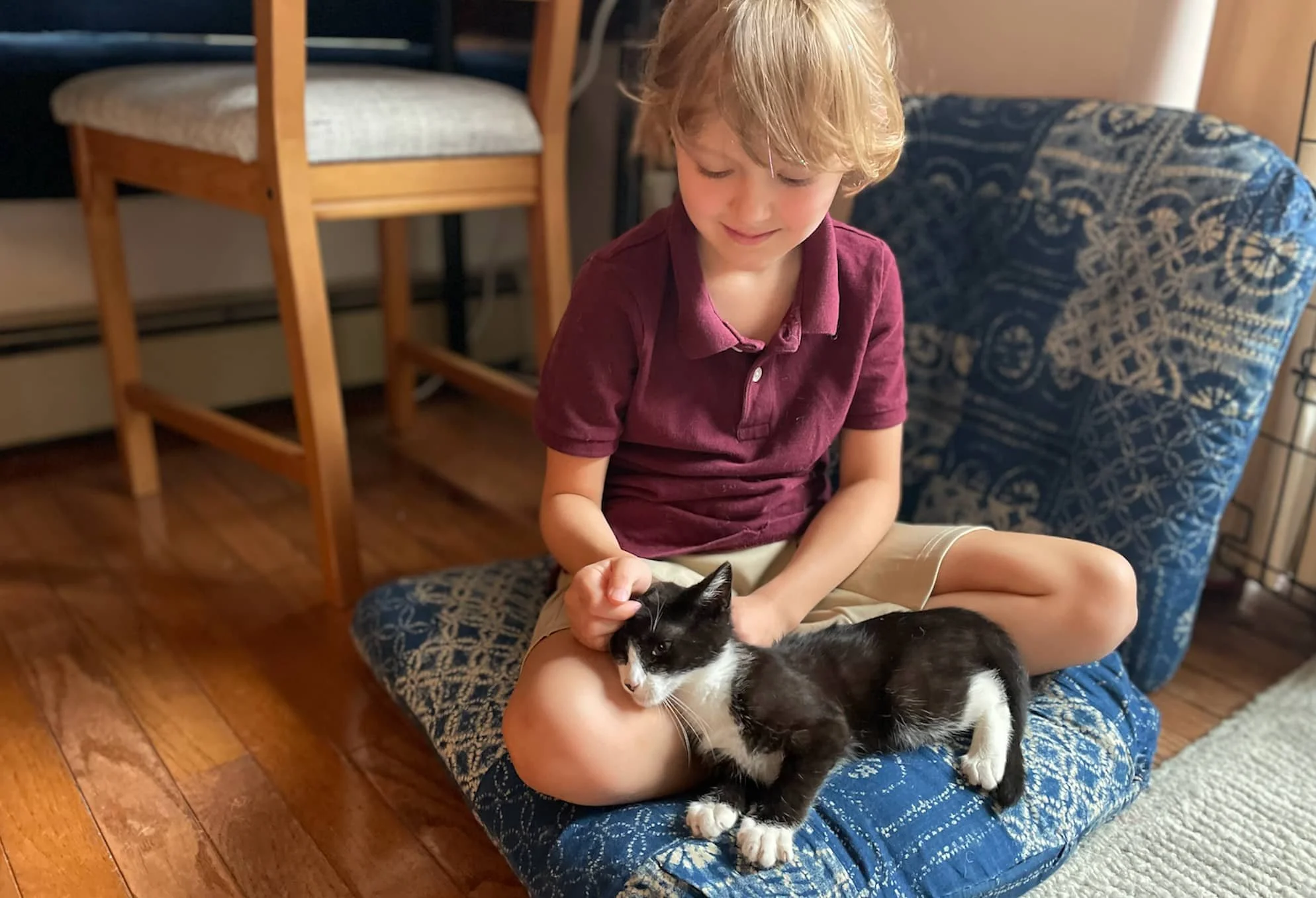 A young girl gently pats a black and white kitten