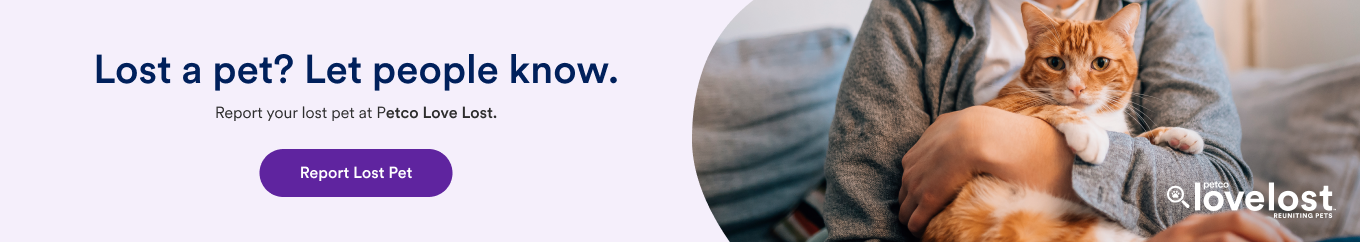 Banner with a kitty on it and the text 'Lost a pet?'