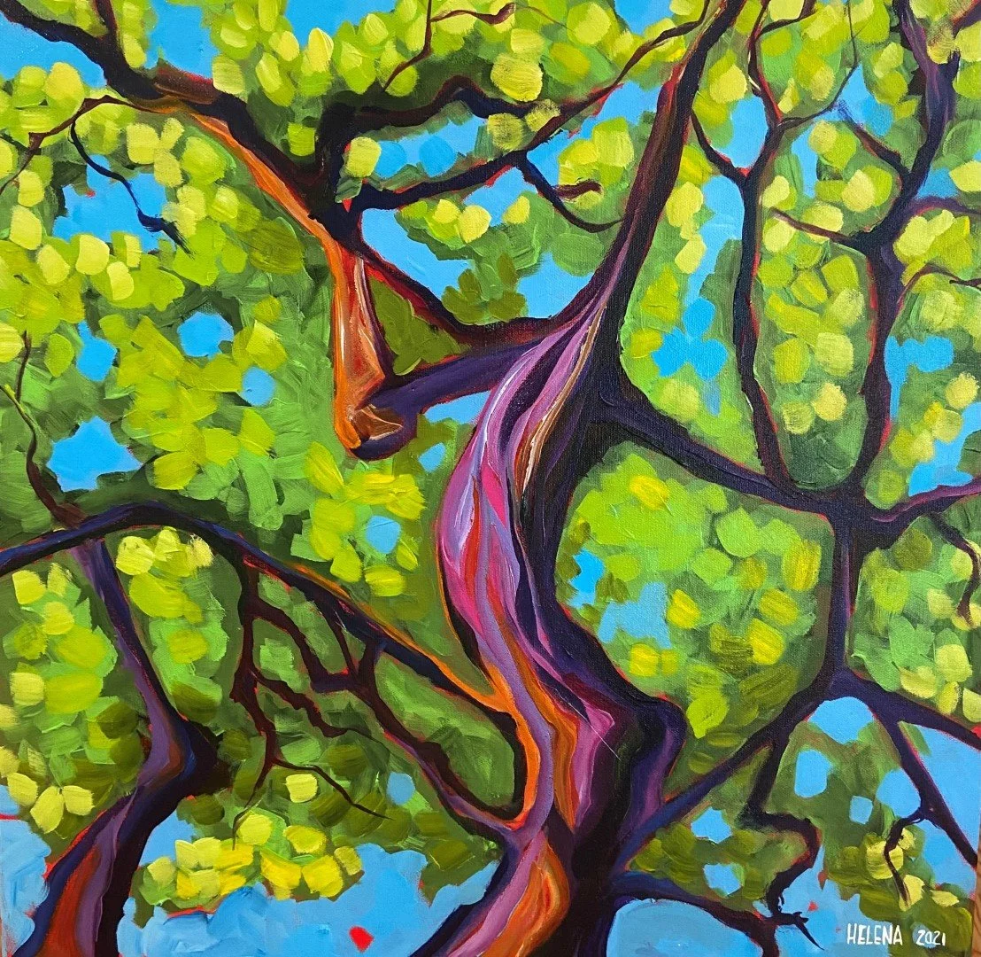 Dancing Tree (Large).jpg