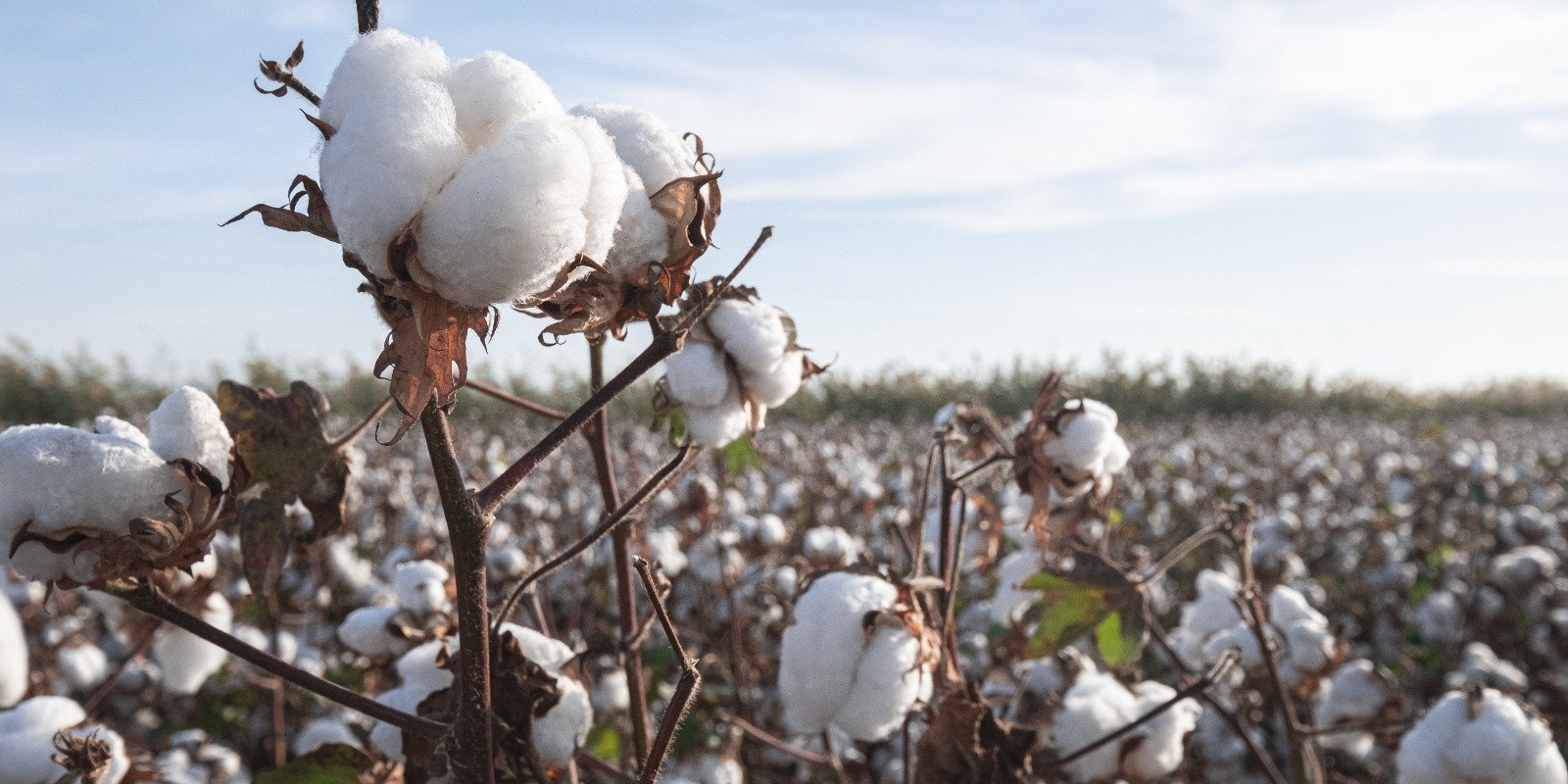 Brave &amp; Bold Conversations