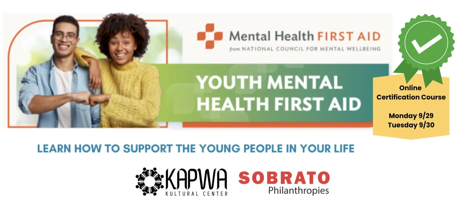 Mental Health First Aid Online Certification Course