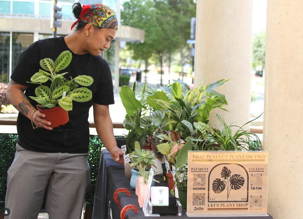 Pop Up at KKC: Lei's Plant Shop