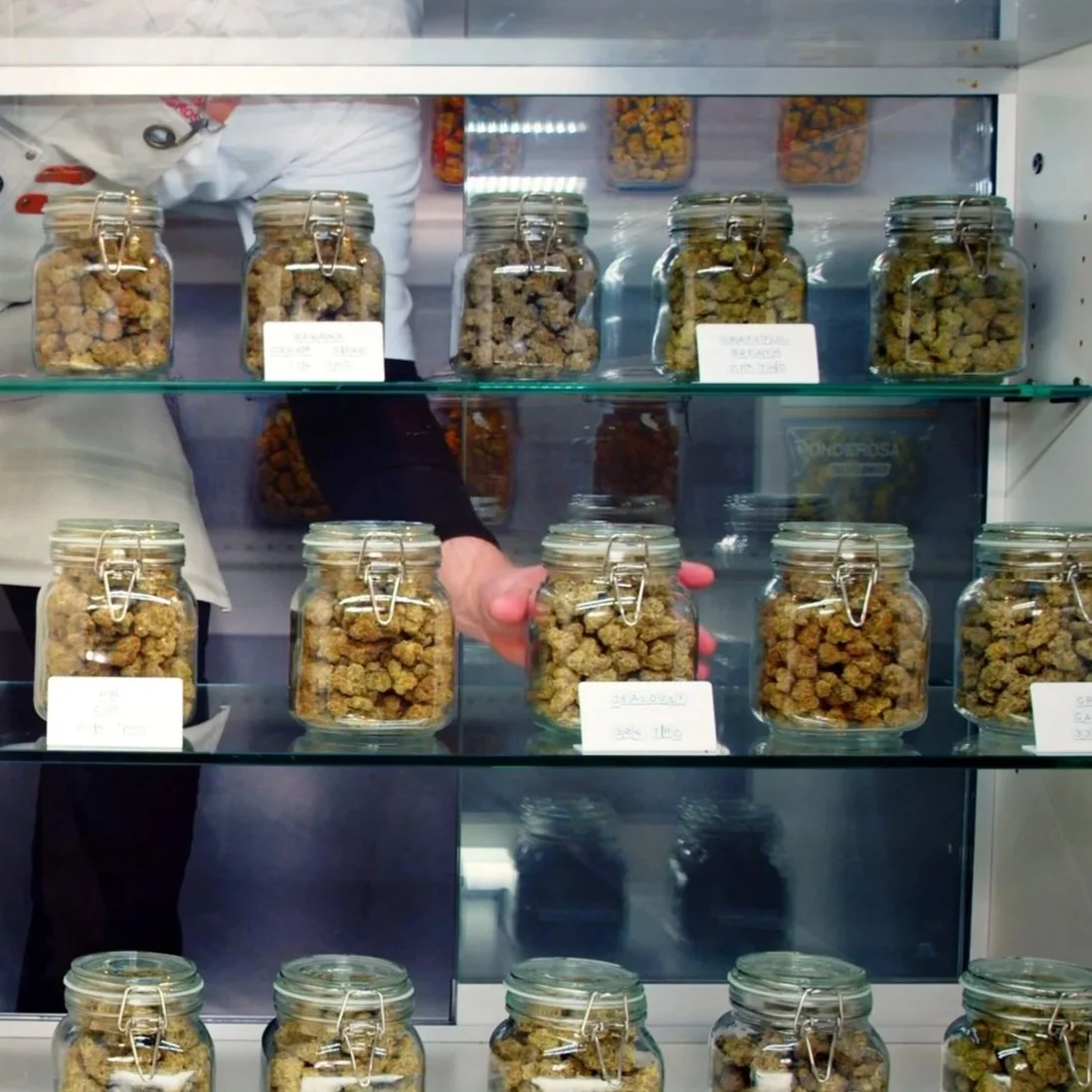 Glass jars filled with dried cannabis buds on store shelves in a dispensary.