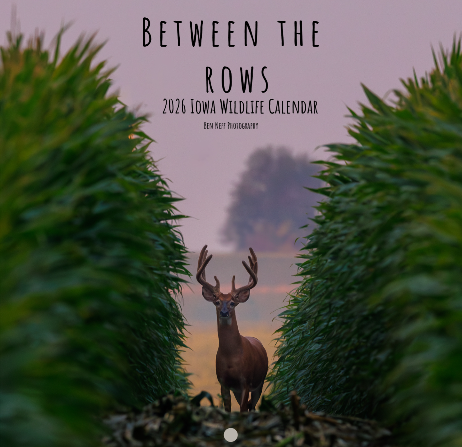 Calendar 2026 cover.PNG