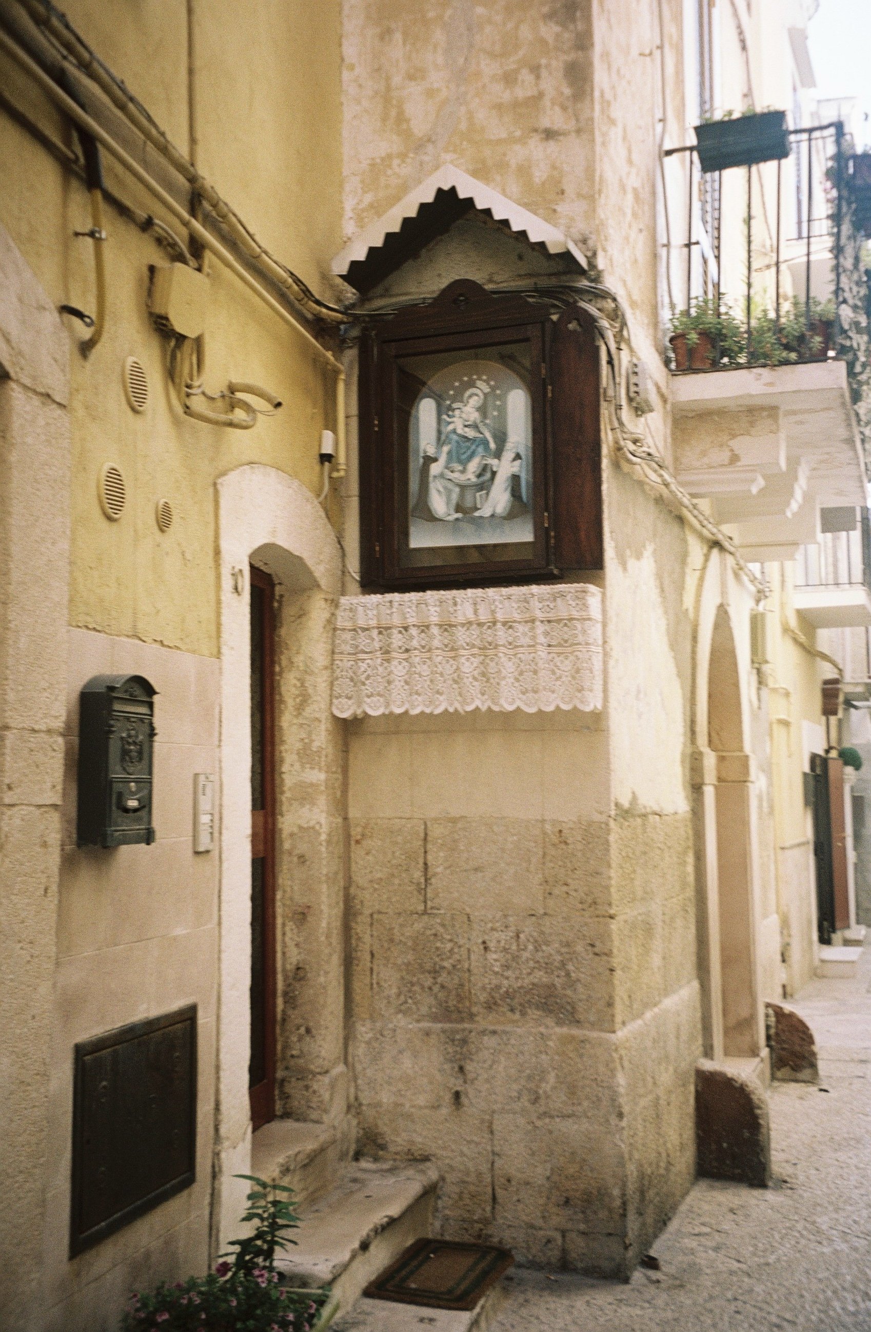 IMG_4924.jpeg