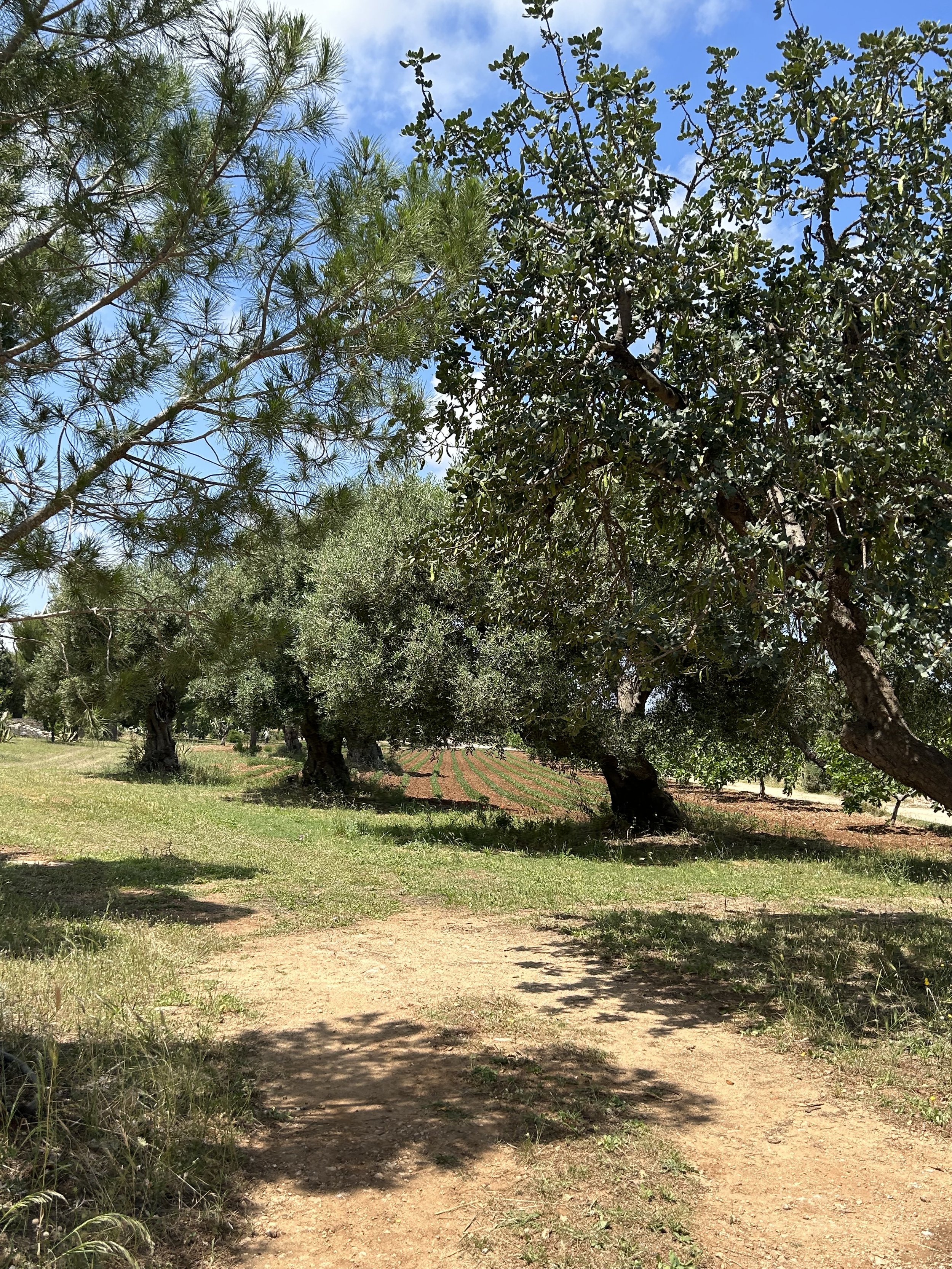 IMG_3731.jpeg