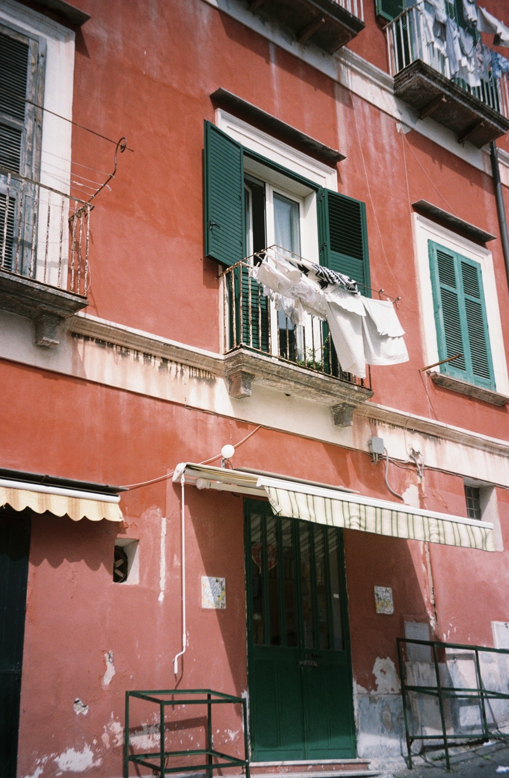 IMG_8604.jpeg