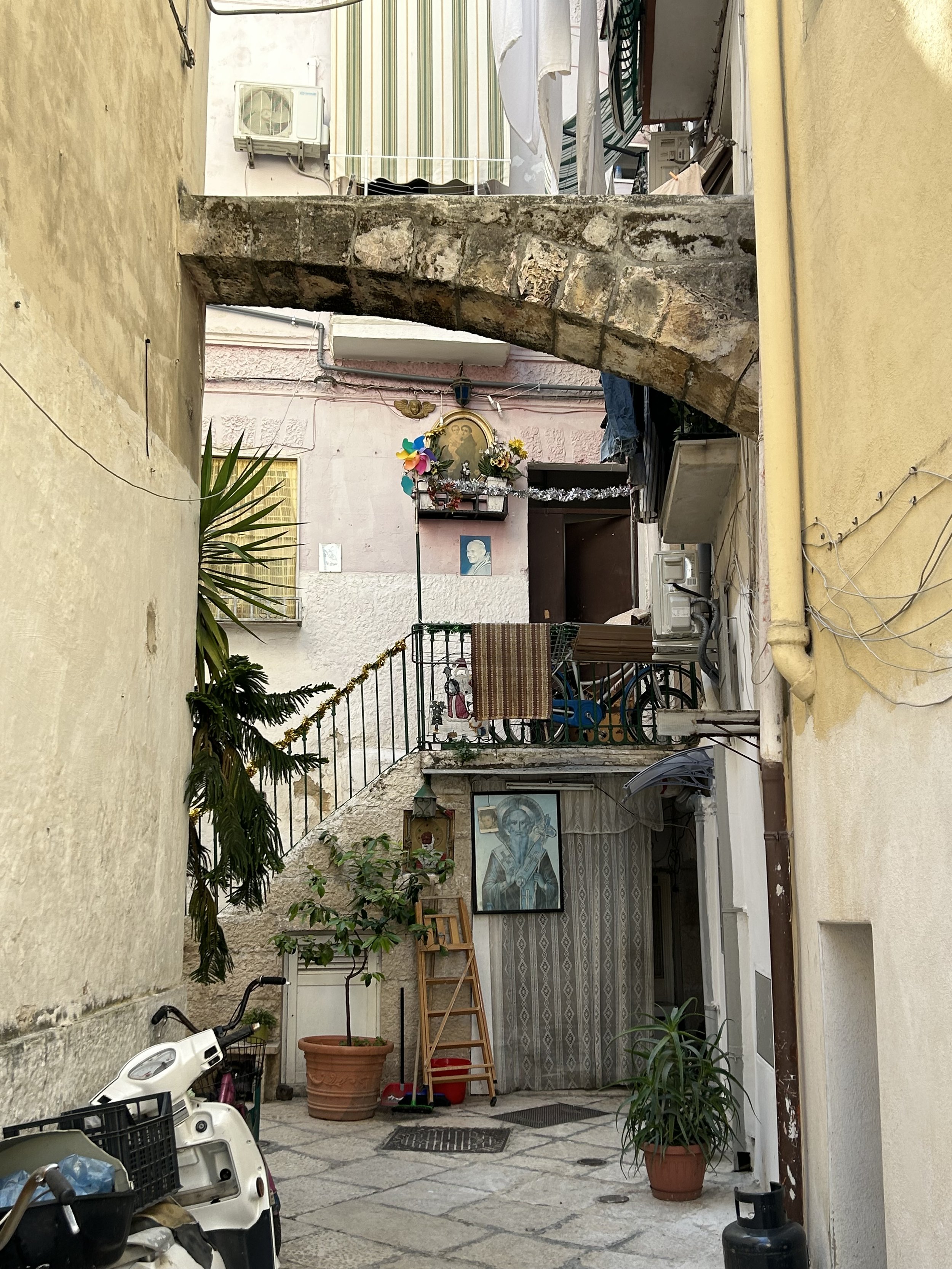 IMG_1123.jpeg