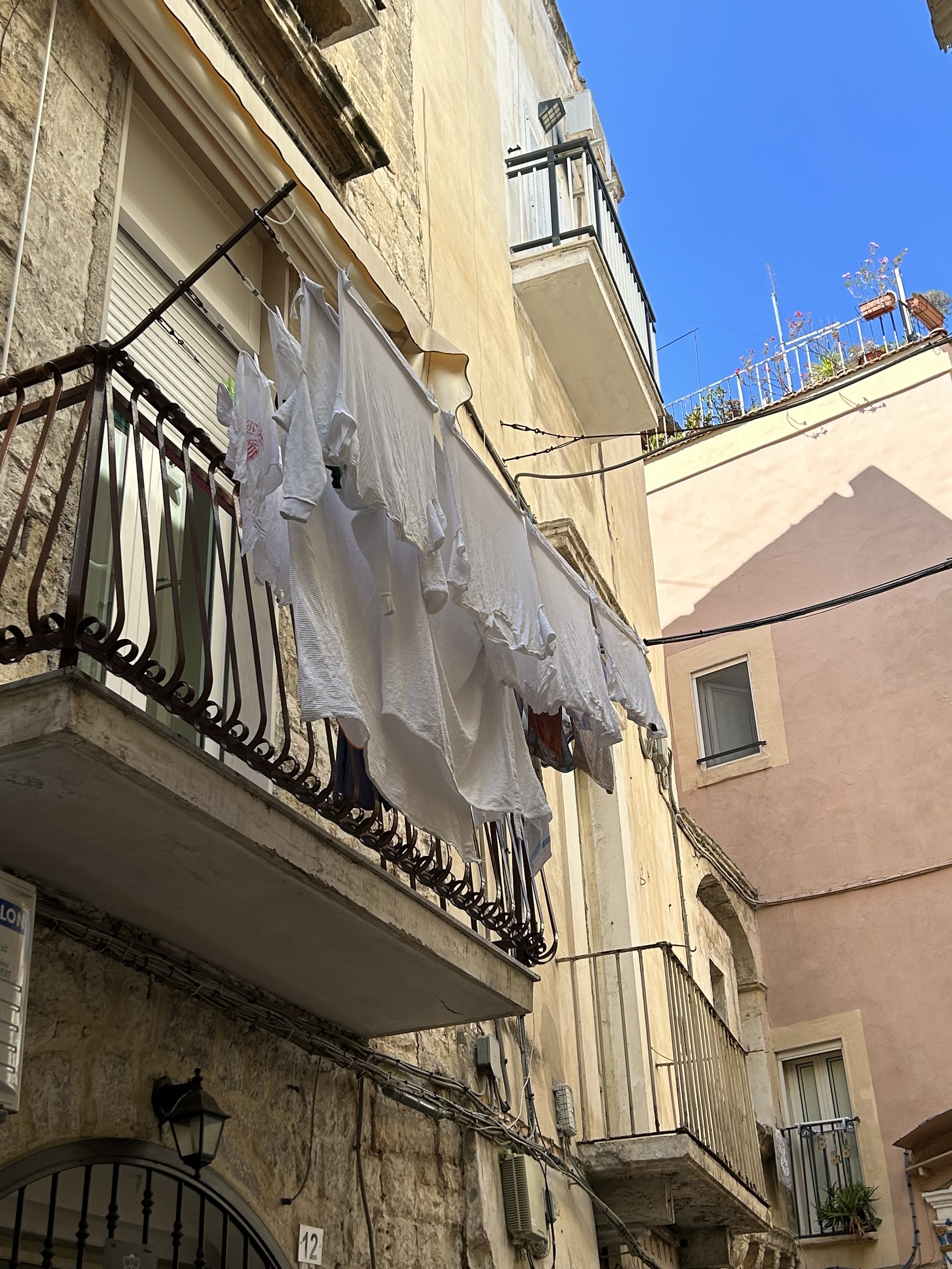 IMG_1151.jpeg