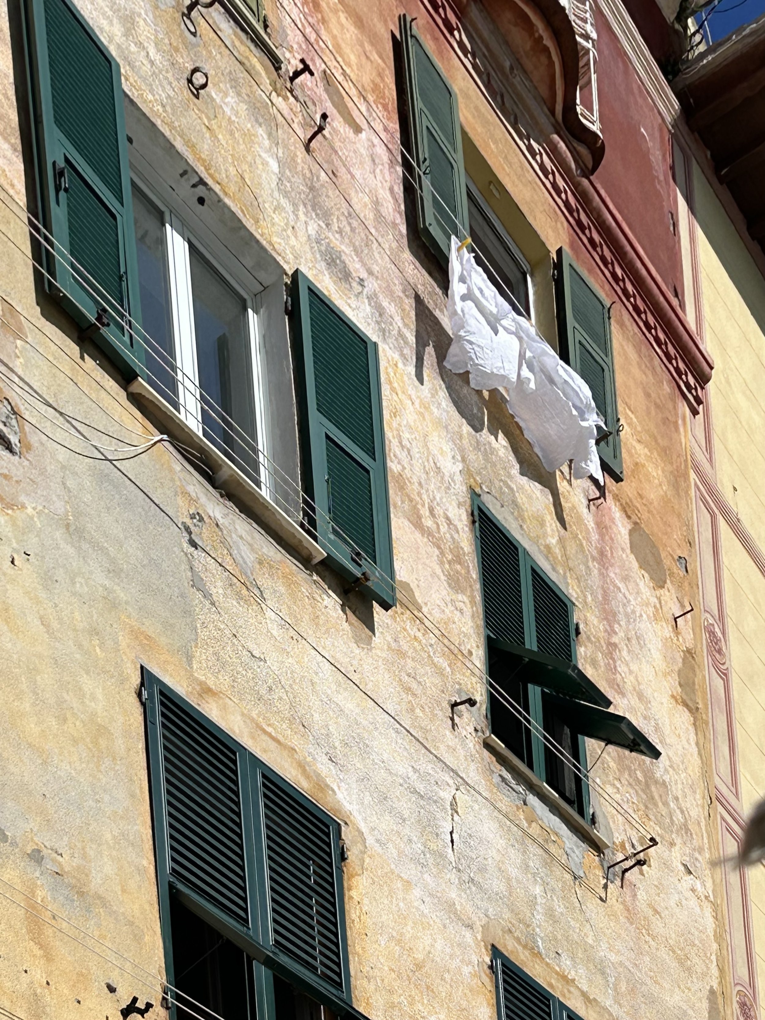 IMG_2618.jpeg