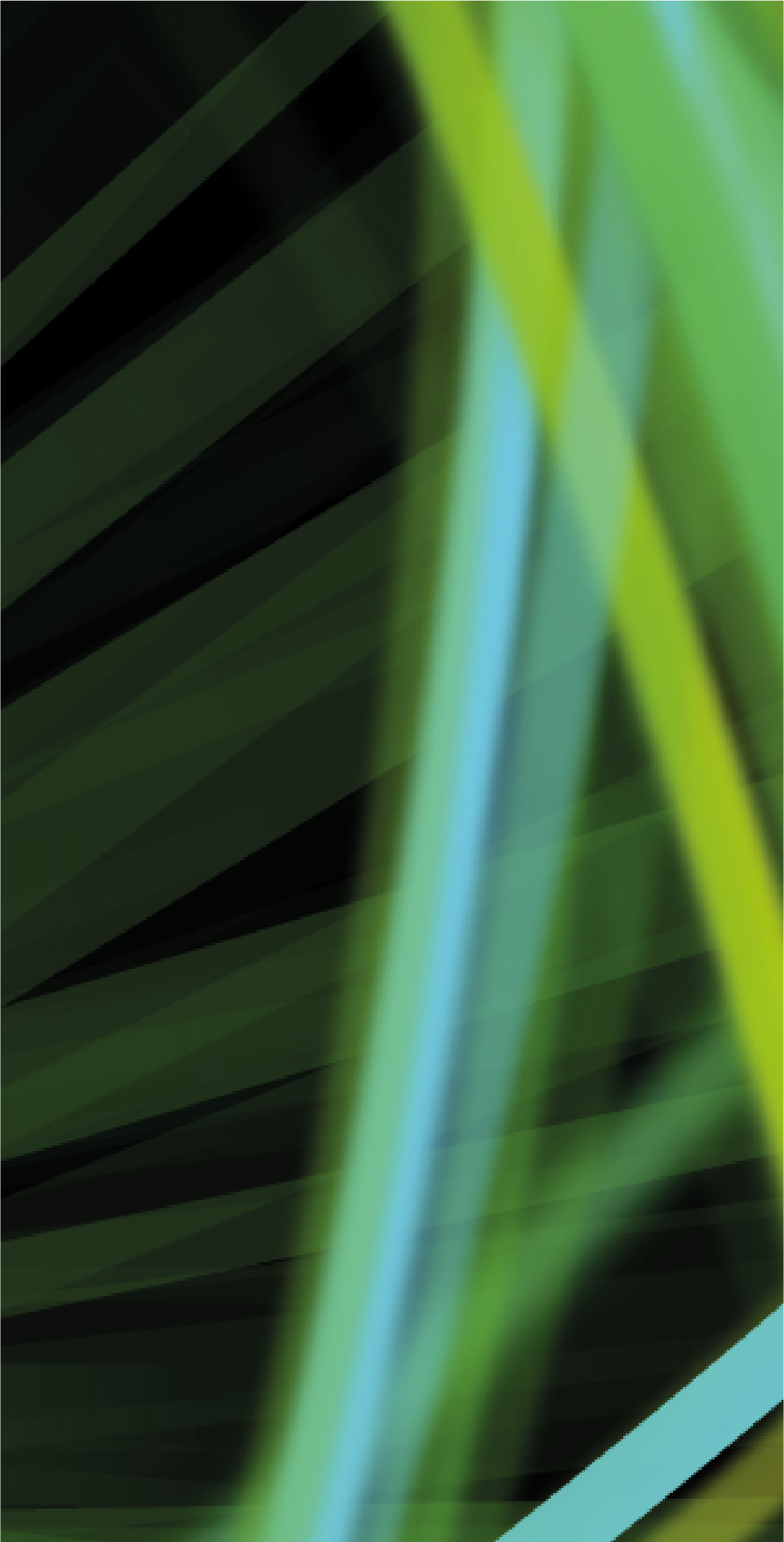 **!PRINT_DEL.SSC21_Artwork_Entrance_vinyls-07-01.png