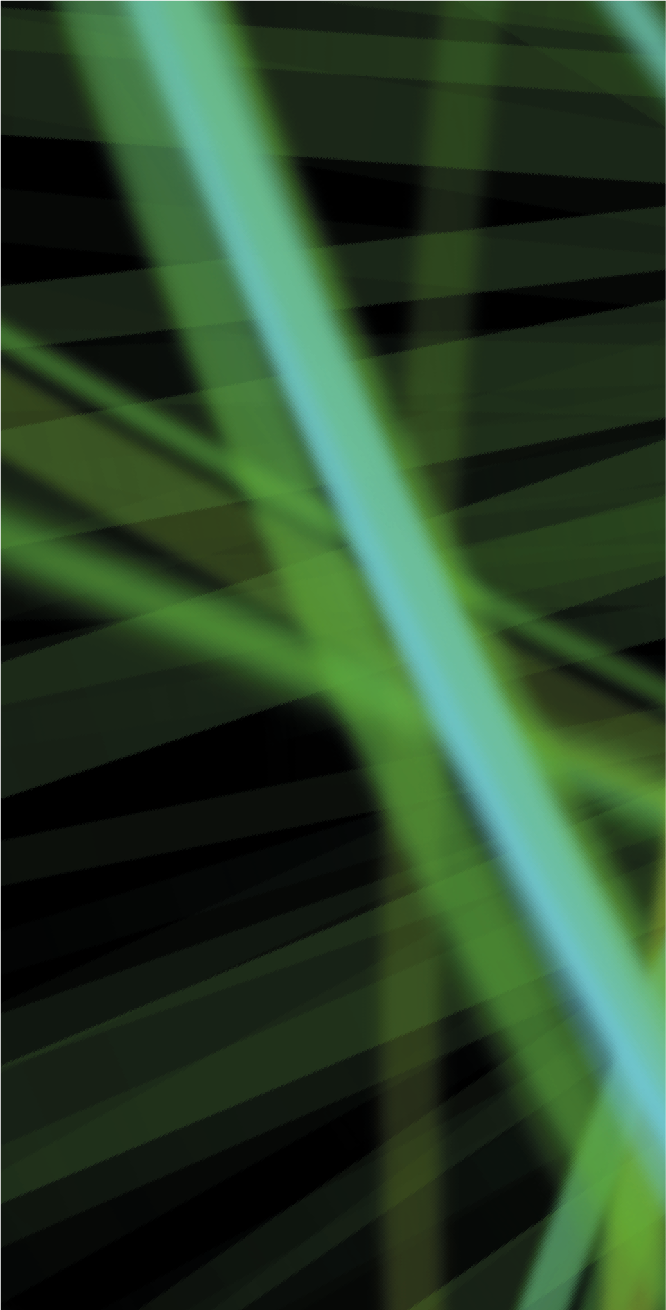 **!PRINT_DEL.SSC21_Artwork_Entrance_vinyls-07-08.png