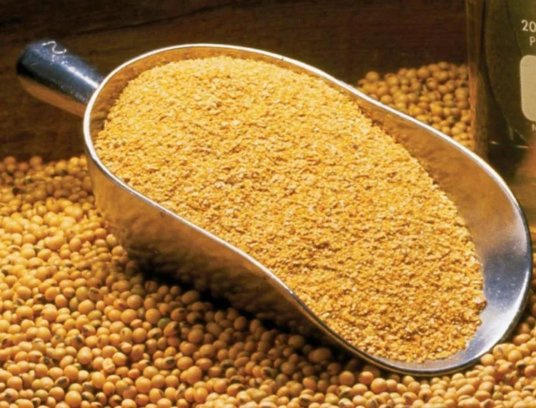 Soybean Meal