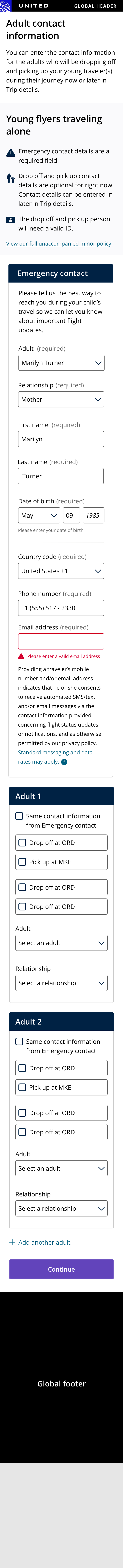 MWEB - UMNR - Adult Information - Saved adult but missing information 3.png