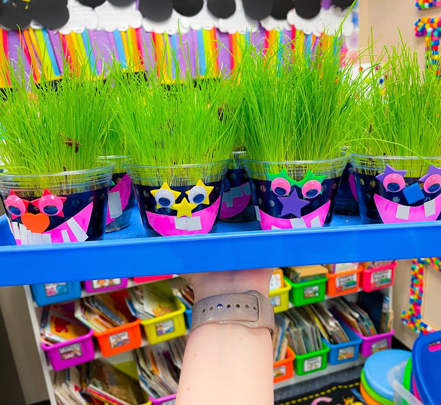 Comment PLANTS for all the plant pal fun! 😍 

This pack comes with lots of tips and tricks on how you can actually get your student&rsquo;s plants to grow in your classroom! 🌱