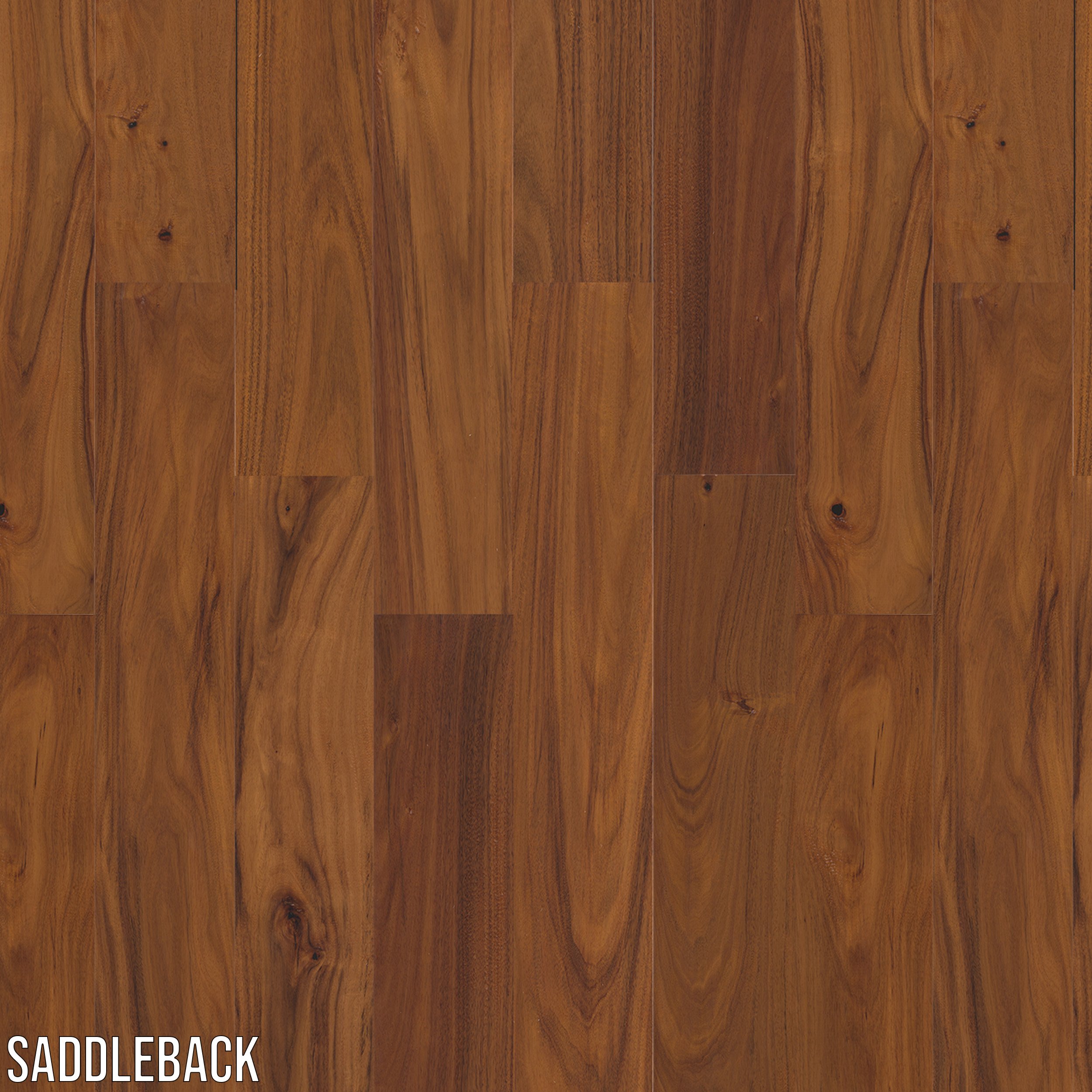 saddleback_.jpg