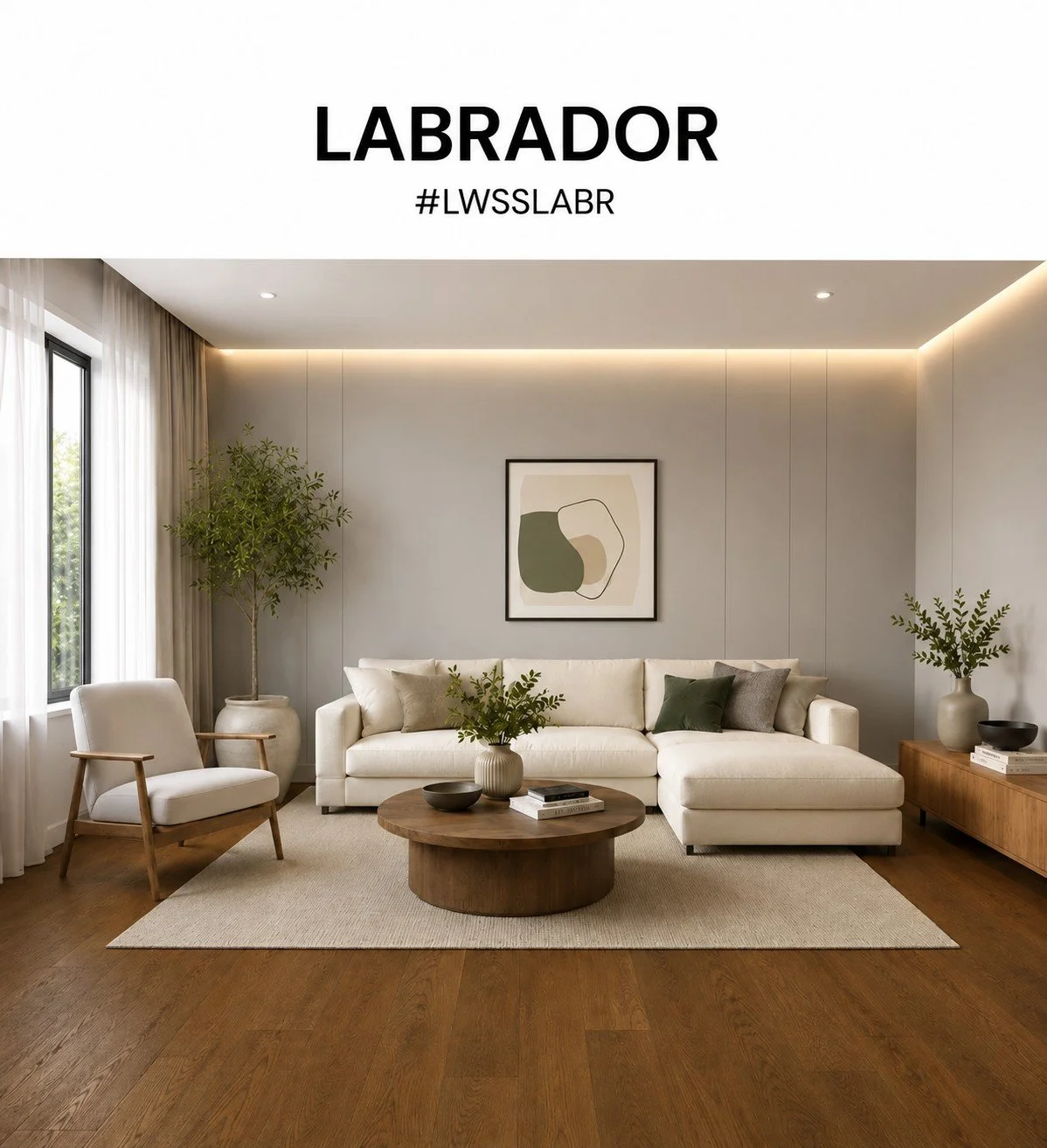 Labrador RS.jpg