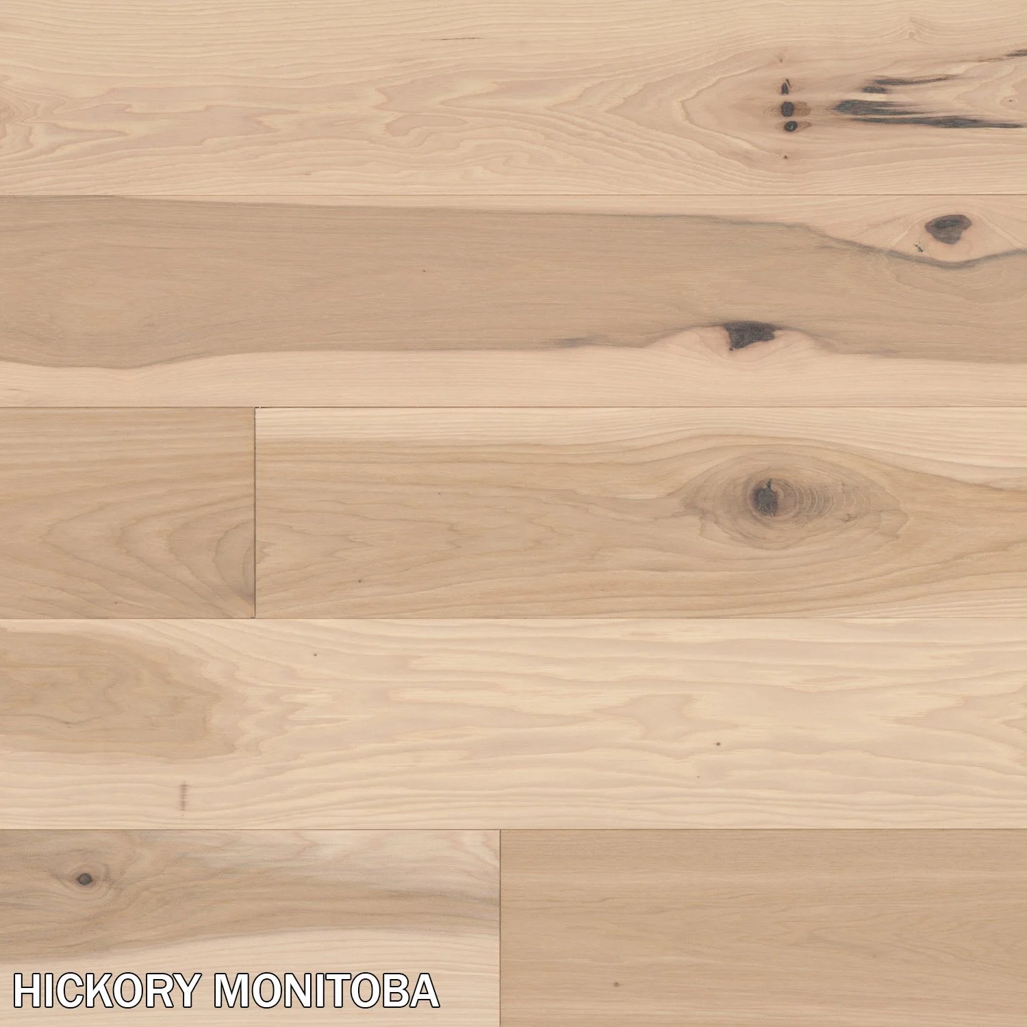 HICKORY_MONITOBA.jpg
