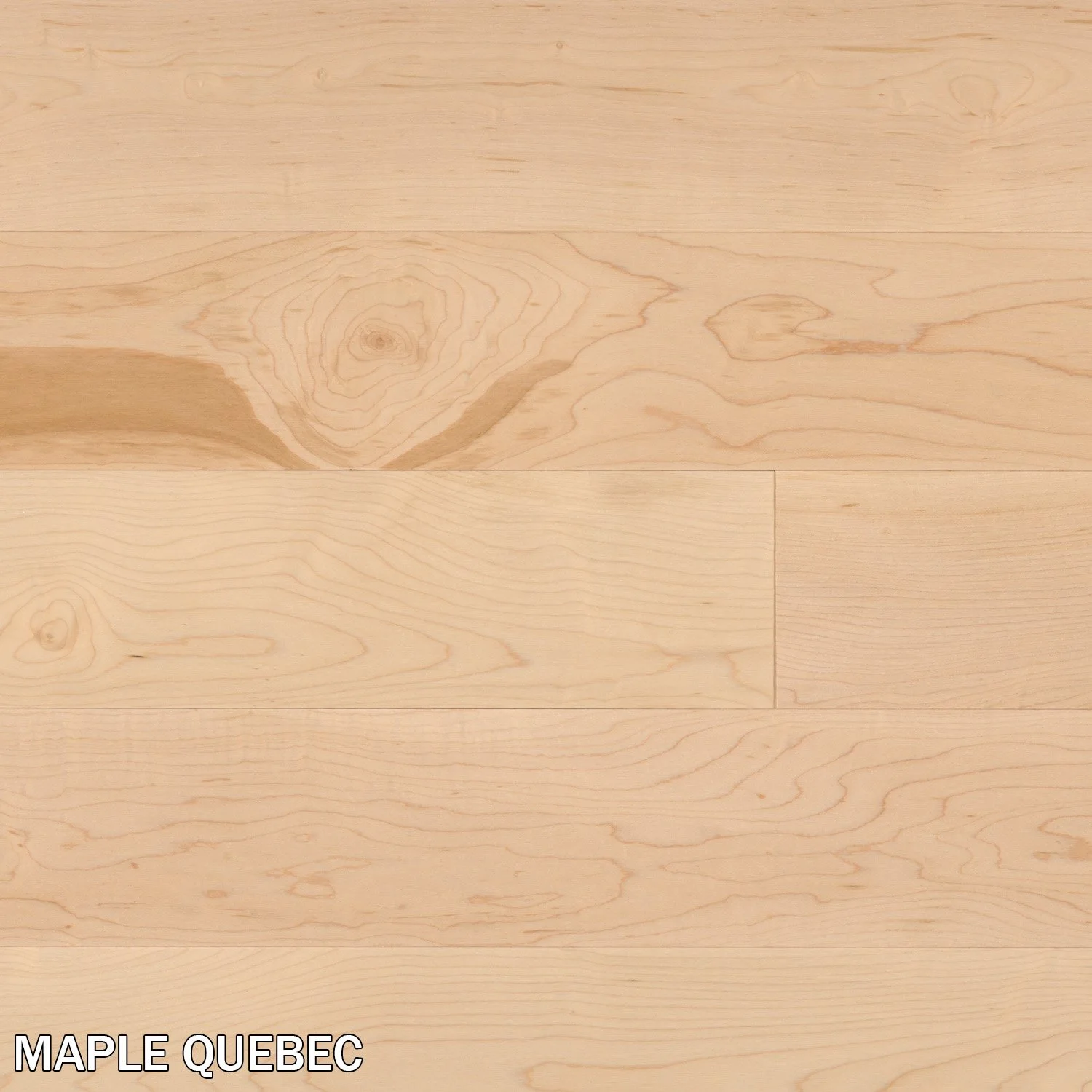 MAPLE QUEBEC.jpg