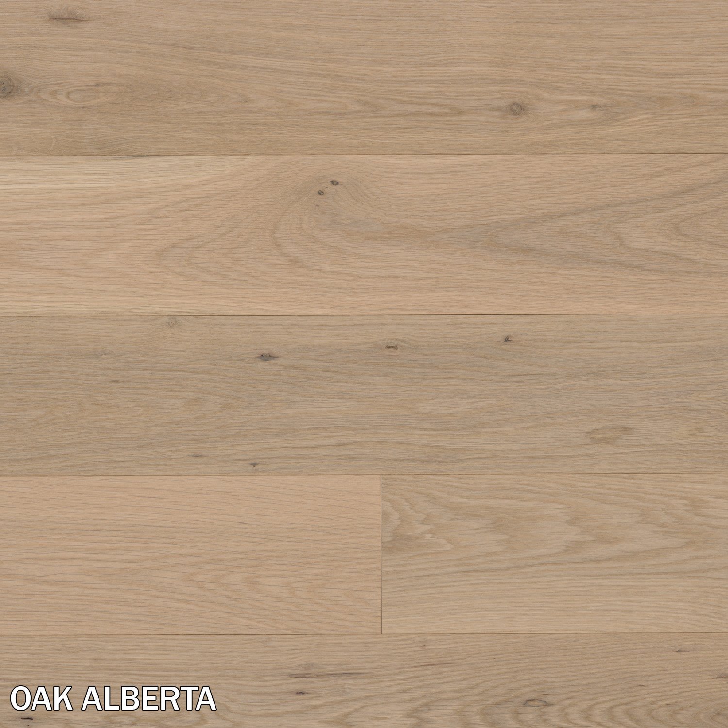 OAK ALBERTA.jpg