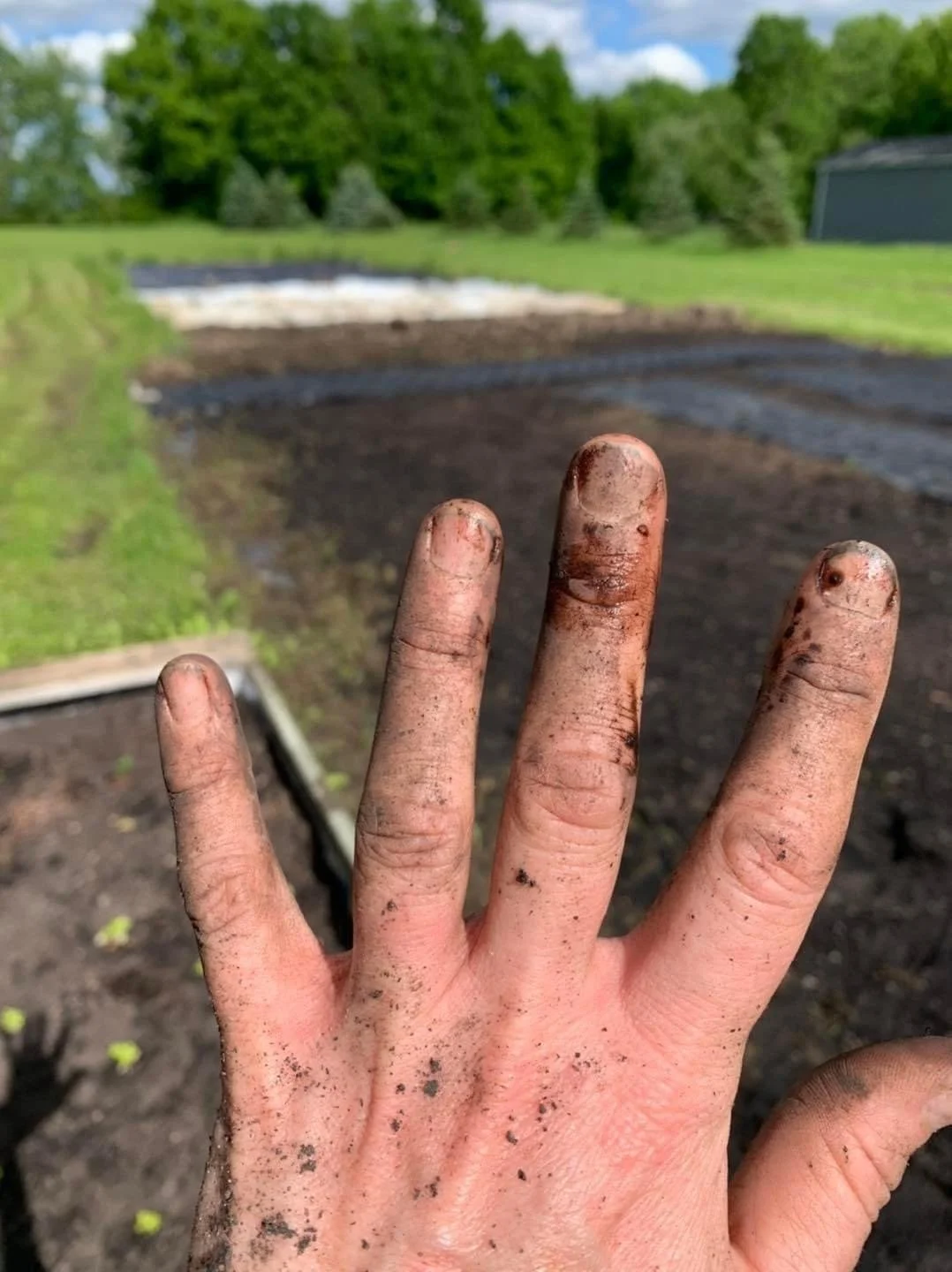 muddy fingers.JPG