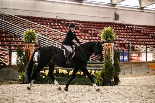 IMG_2561 copy Medium.jpeg