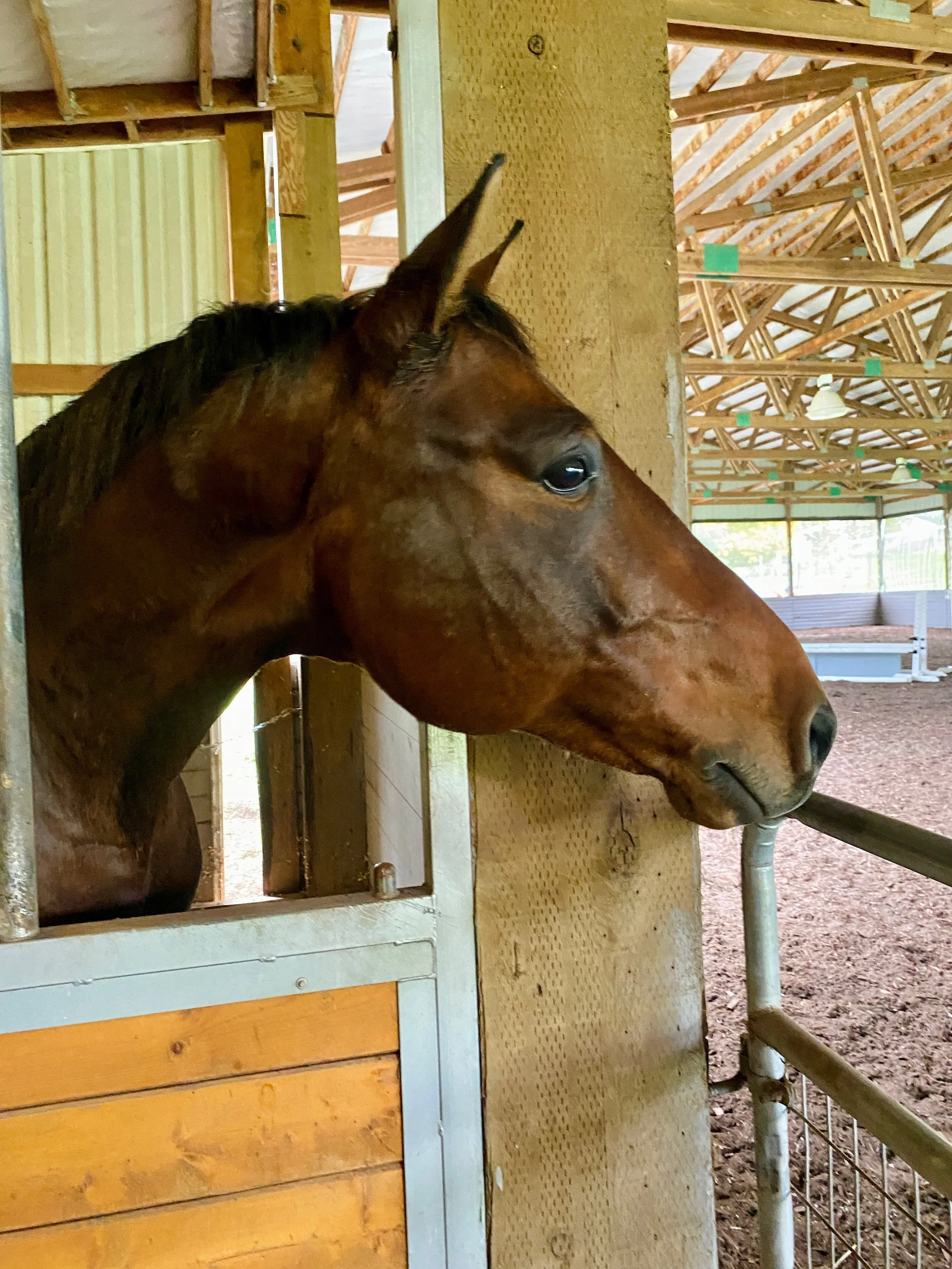 General 2 — Red Horse Stables
