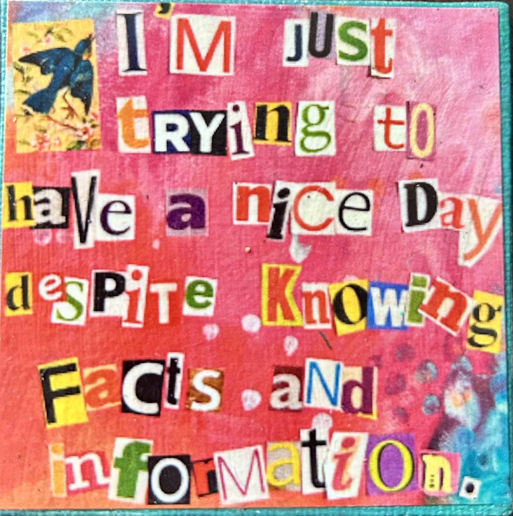 I'm trying to have a nice day magnet.jpg