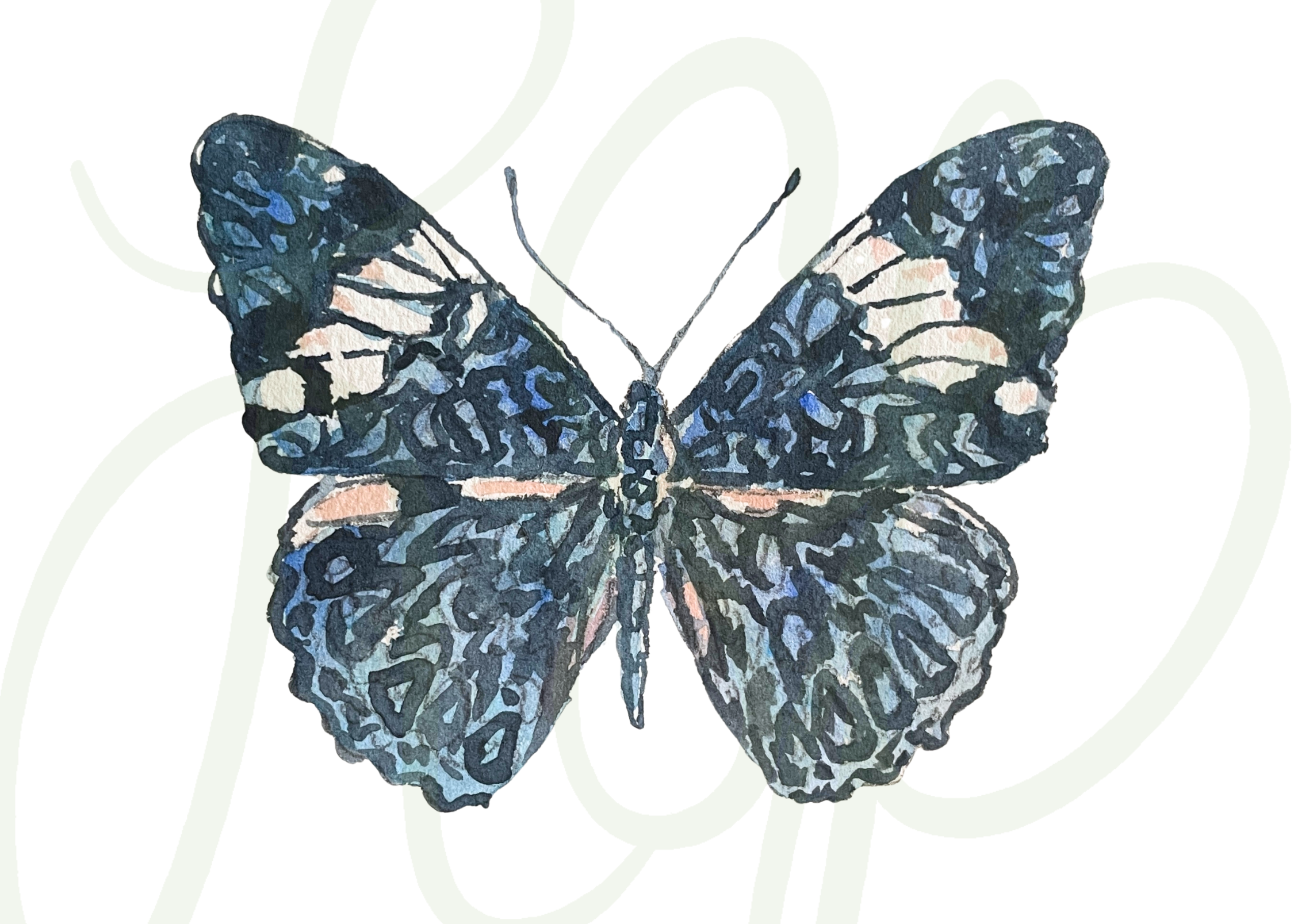 Connor Butterfly - Print