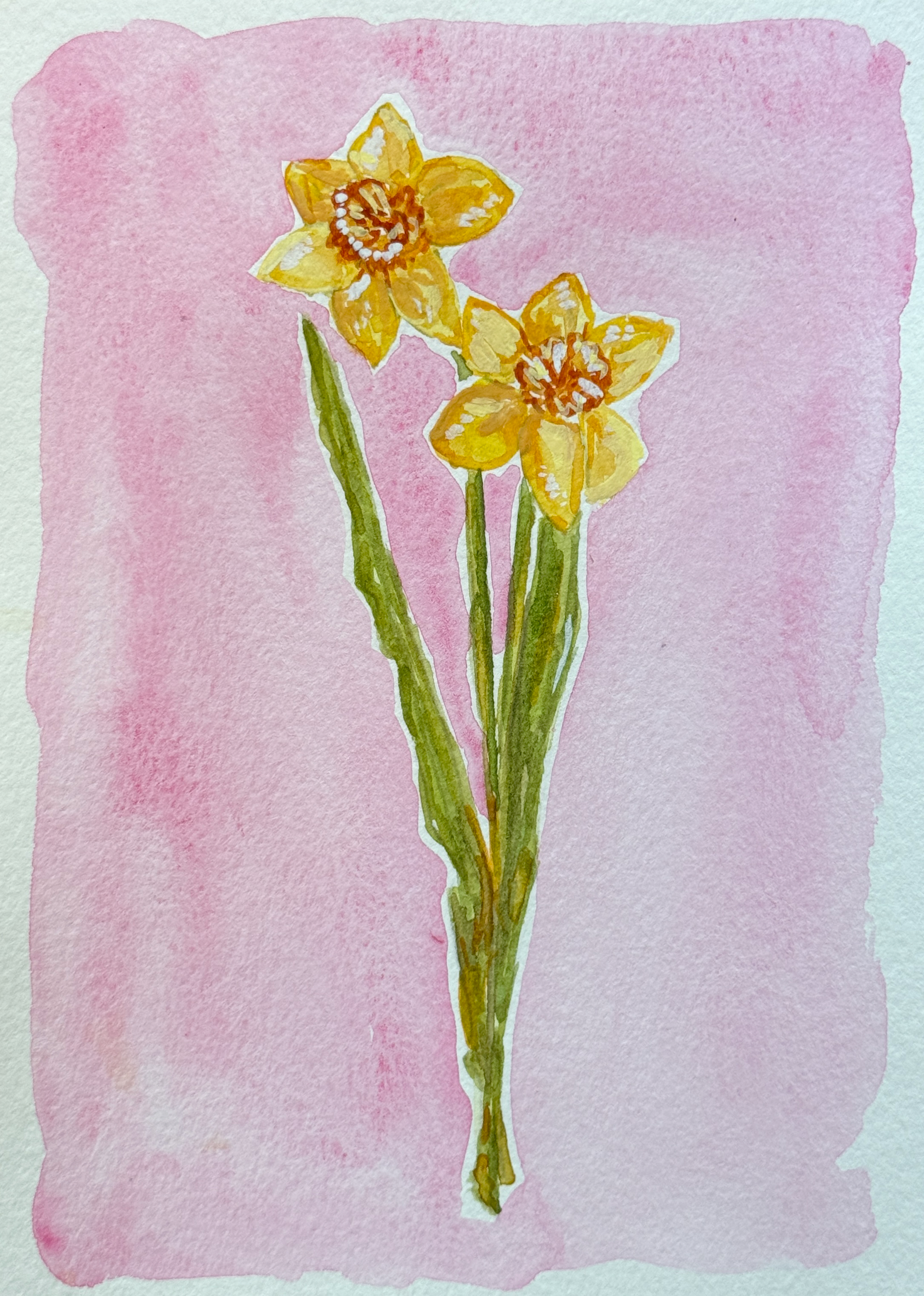 Consider the Daffodils.png