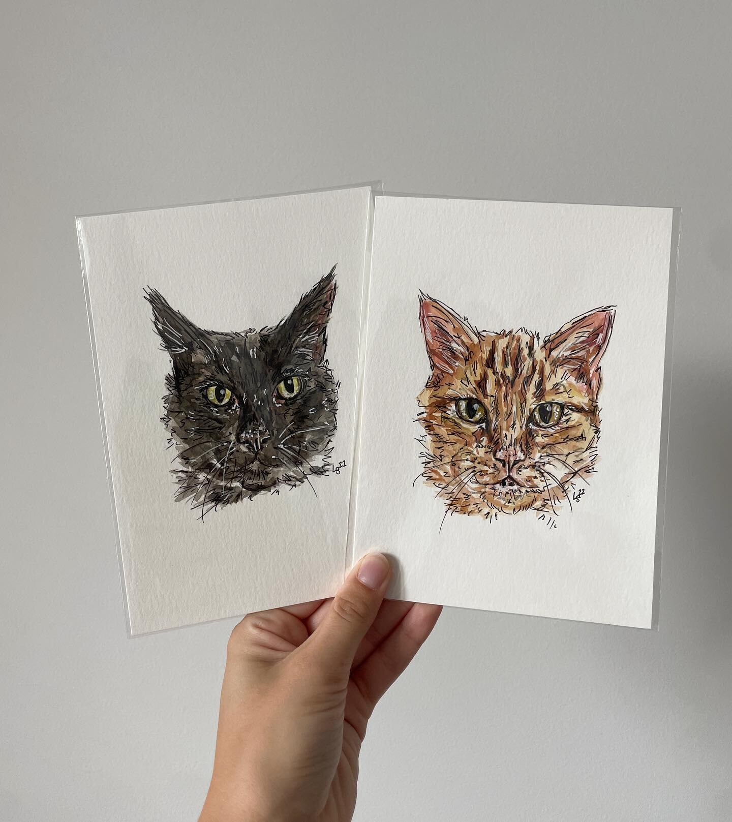 Couple of sweet kitties 🐈&zwj;⬛ 

5 x 7 watercolor + pen

I&rsquo;ve been busy balancing pet portraits and working full time but it has been a joy! Finishing up some more portraits this week and adding some to the list! Already thinking ahead to the