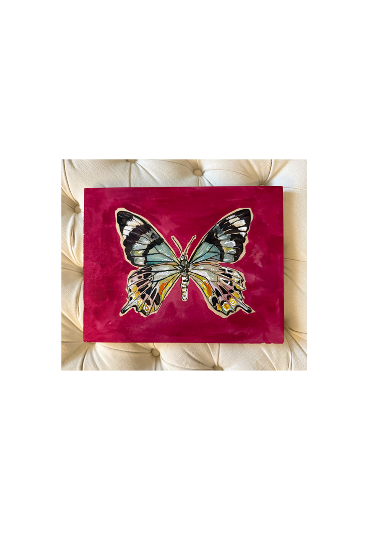 Butterfly on Pink