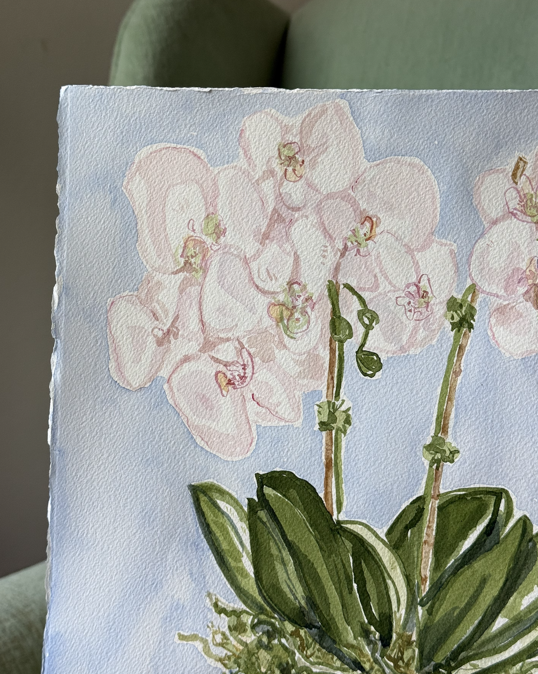 Screenshot 2026-03-16 at 5.06.58 PM.png