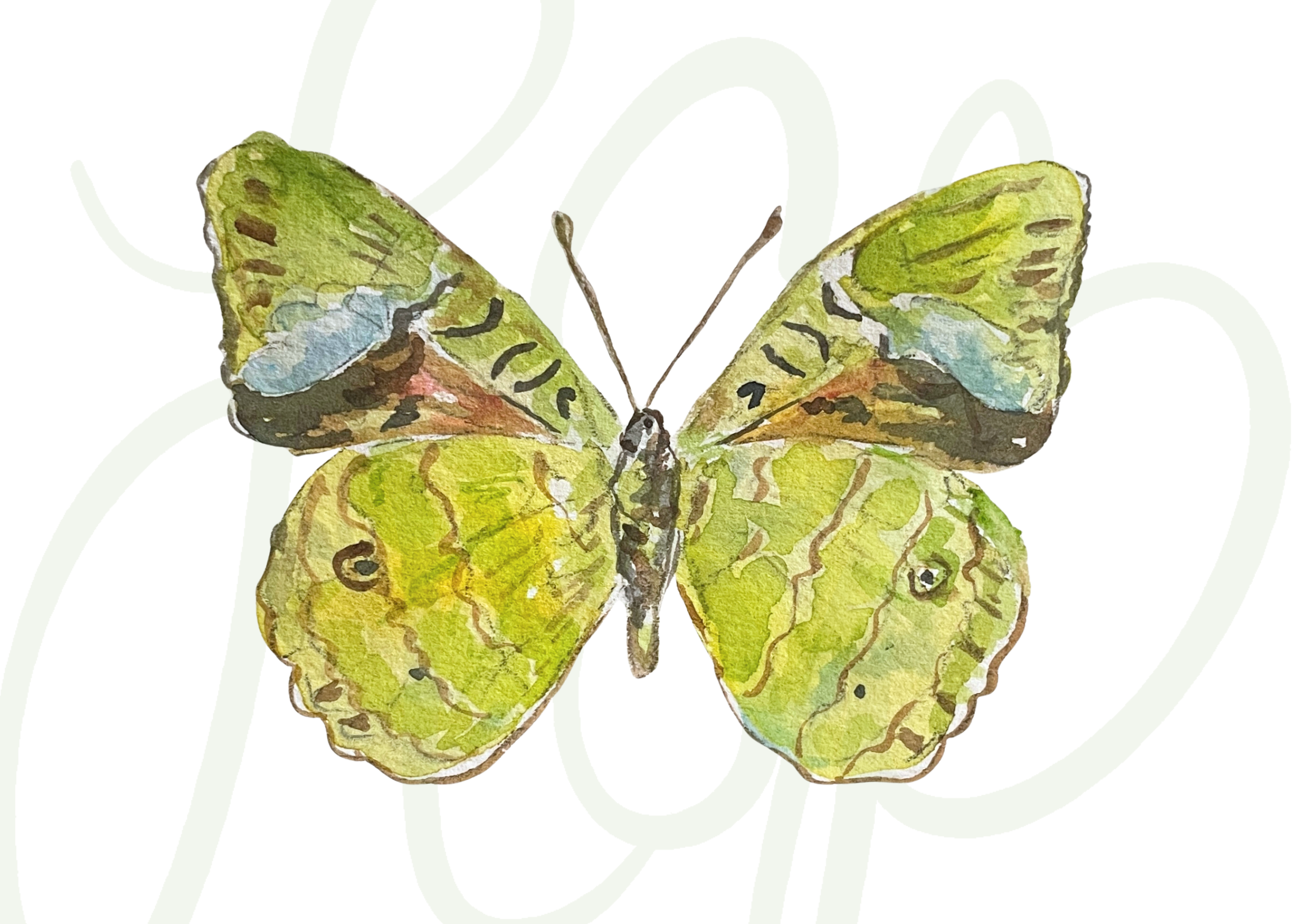 Sarah Butterfly - Print