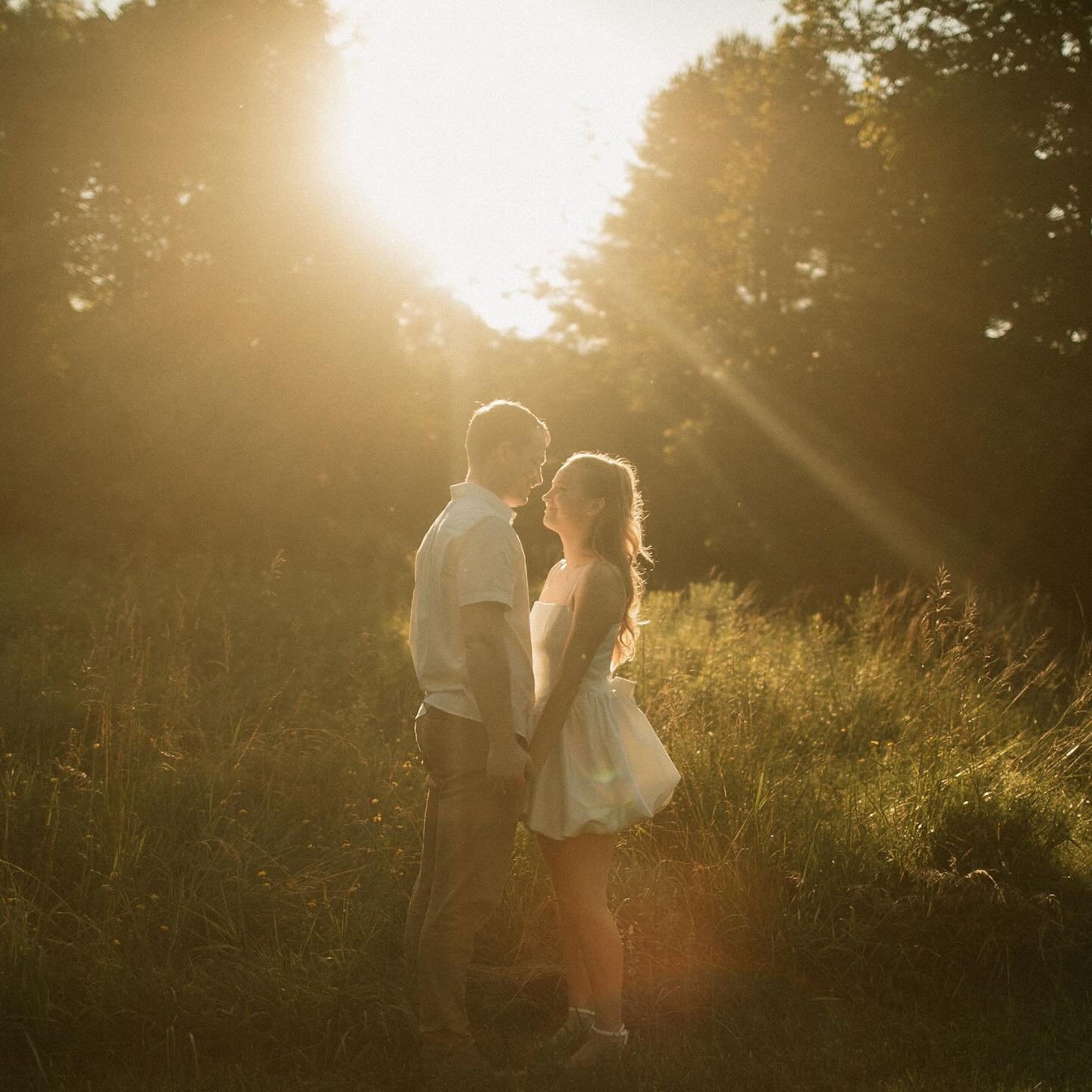 The prettiest summer evening light for these two. ✨