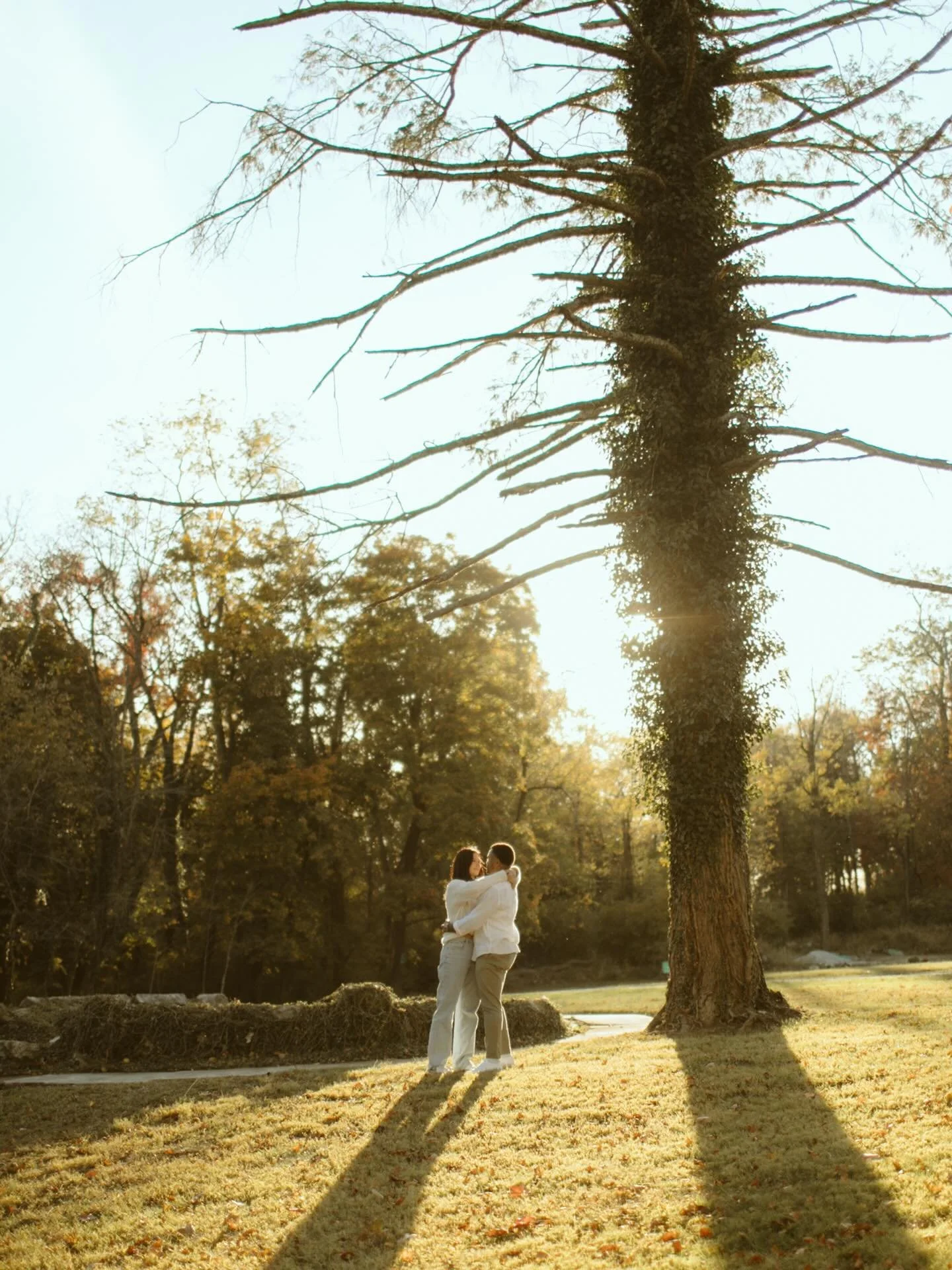 These two in the sunshine. ✨