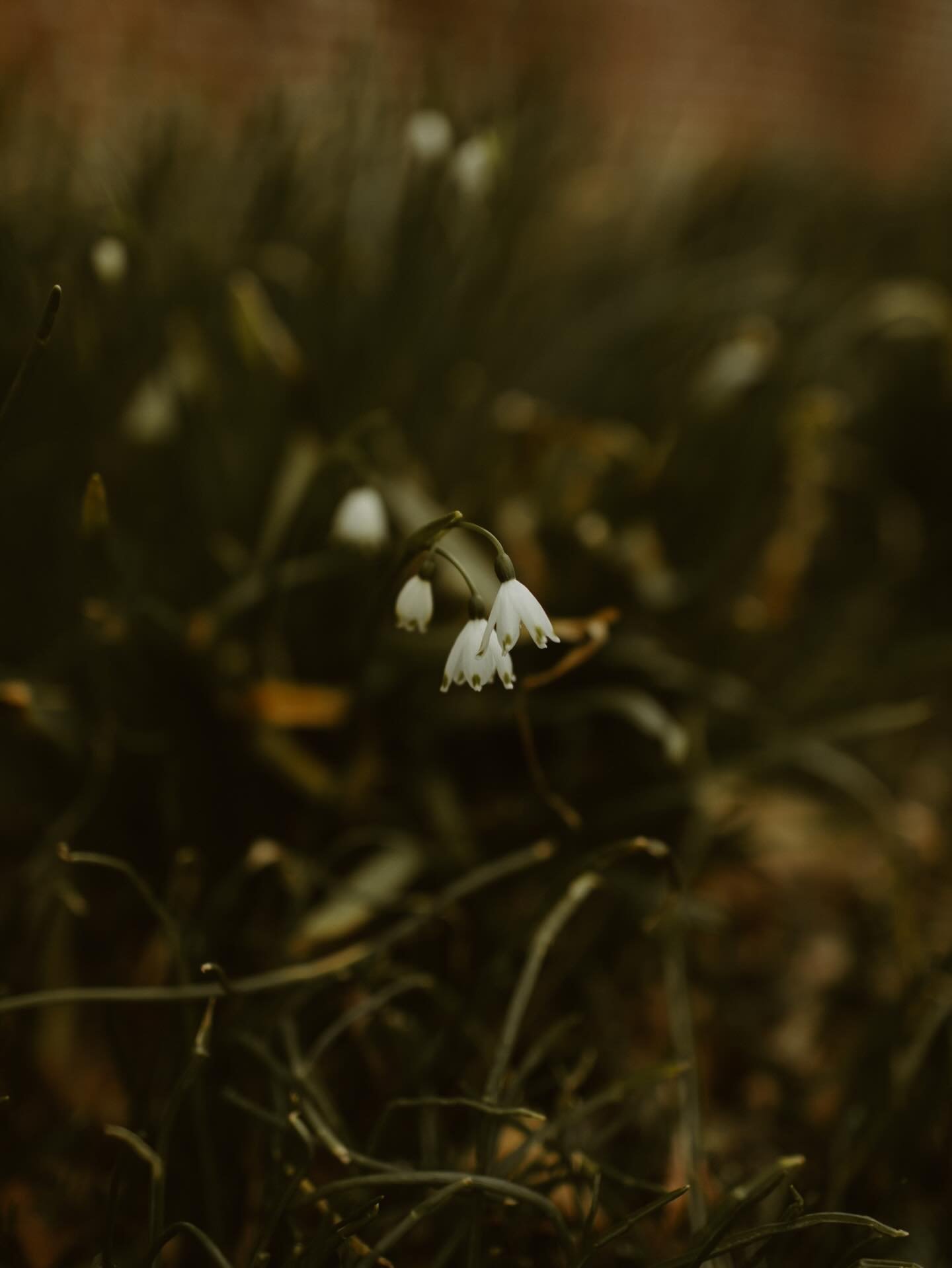 9 photos from every ceremony we&rsquo;ve photographed this year, part one. ✨

From churches and cathedrals, to beaches and mountaintops, waterfalls and backyards, downtowns and gorgeous venues, we&rsquo;ve been able to stand beside you and watch your