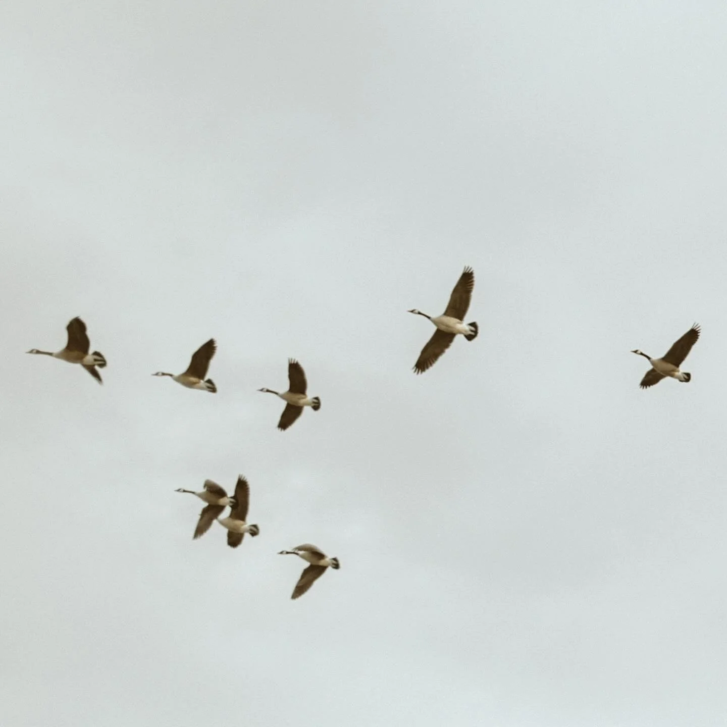 A perfect winter afternoon in New Hope with J + L. ❄️