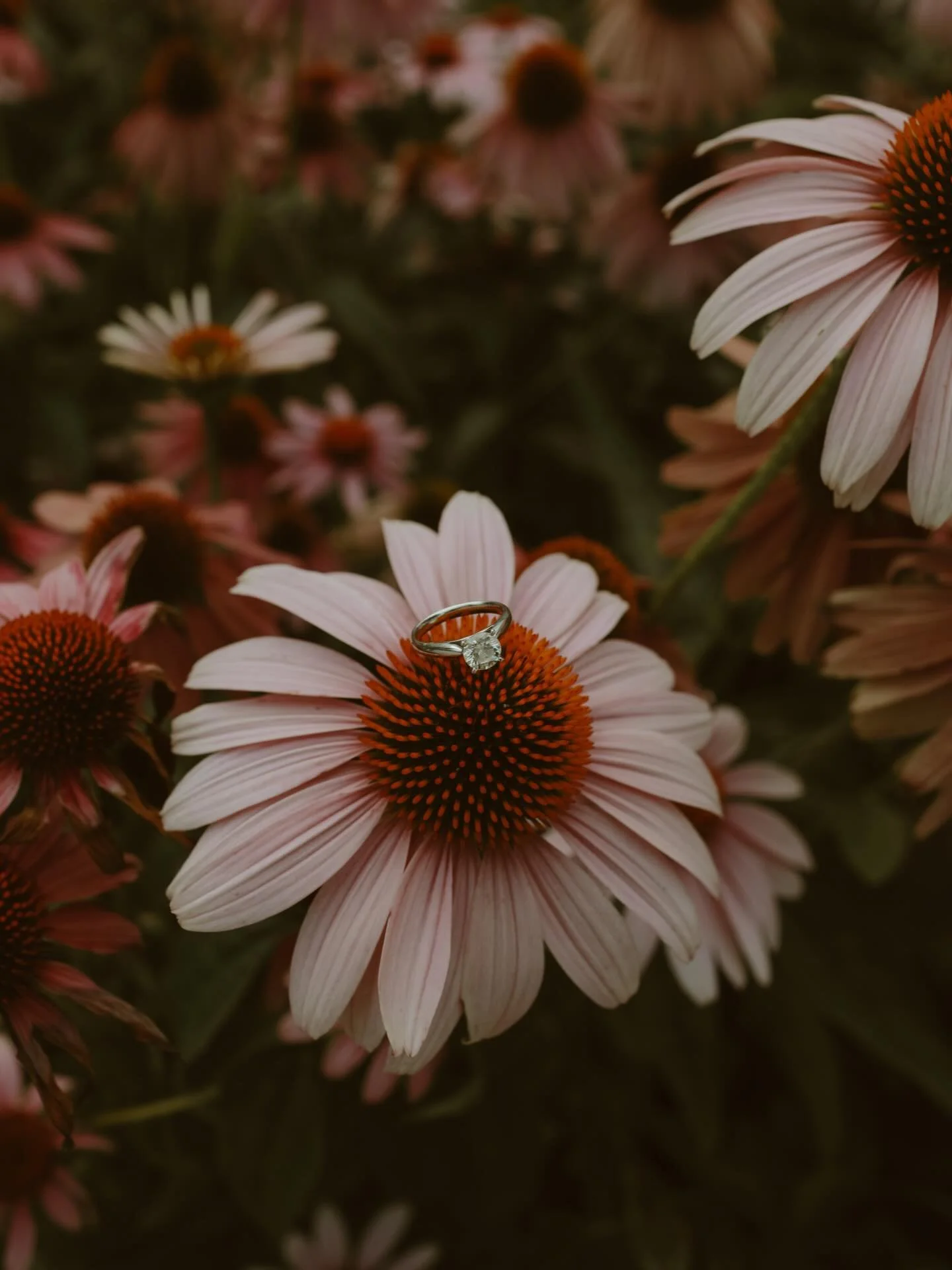 🌸 Just around the corner. 🌸