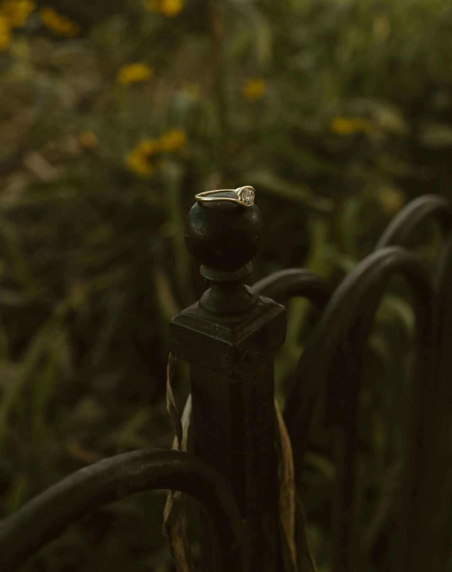 Swipe to see some cuties in a tree. 🤎