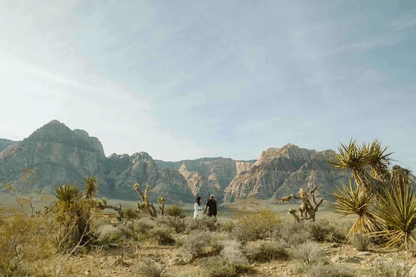 Cuties in the desert. 🌵