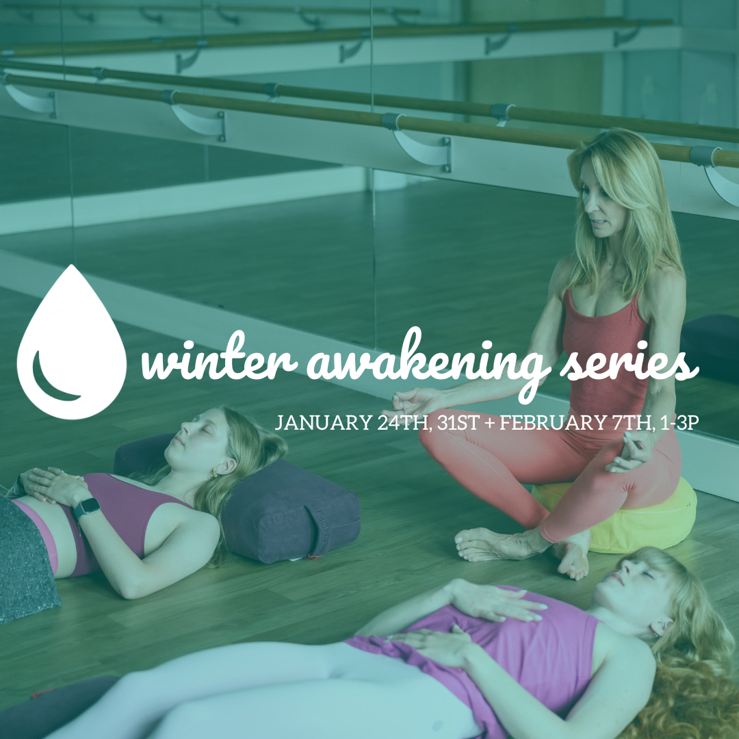 winter awakening series
