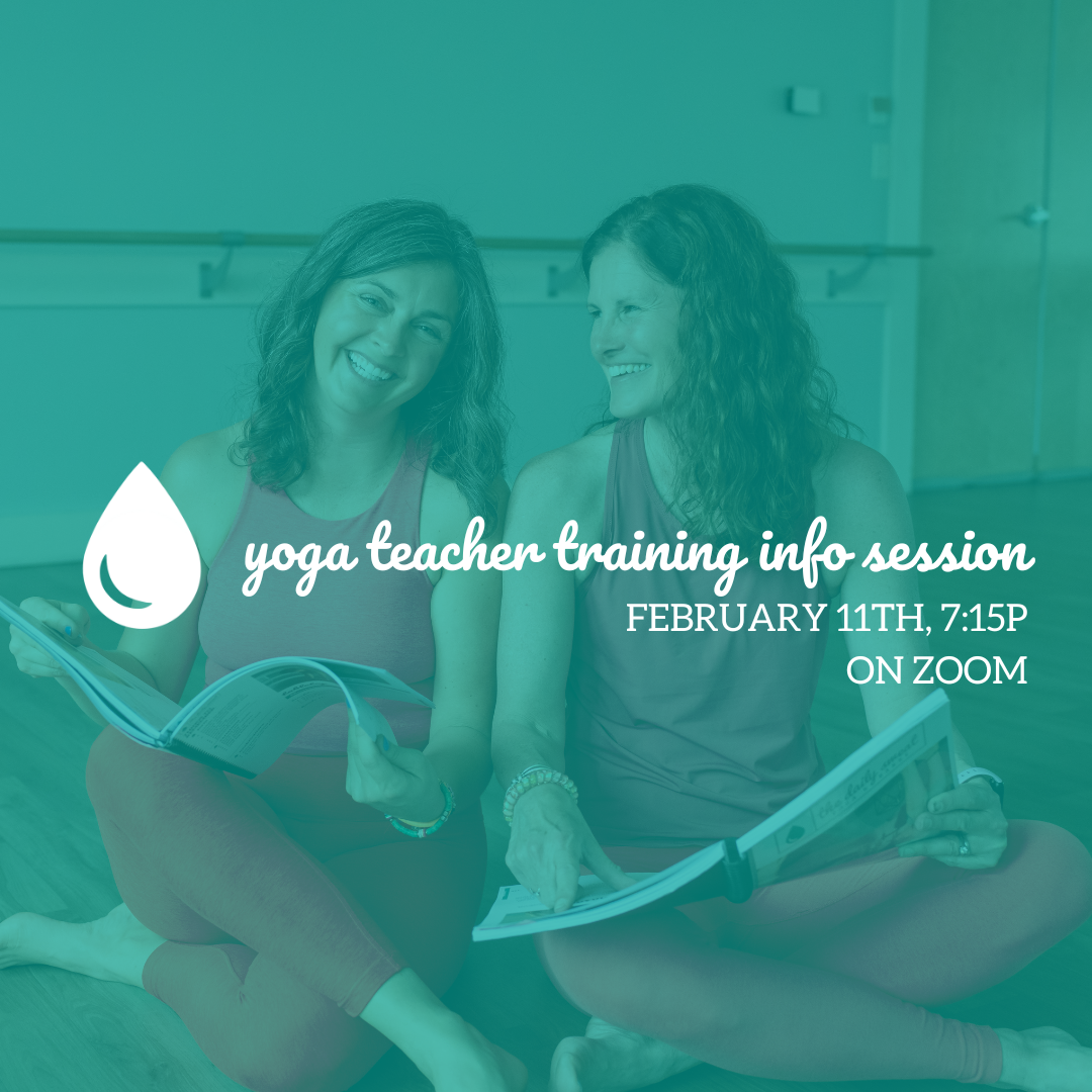 yoga teacher training info session