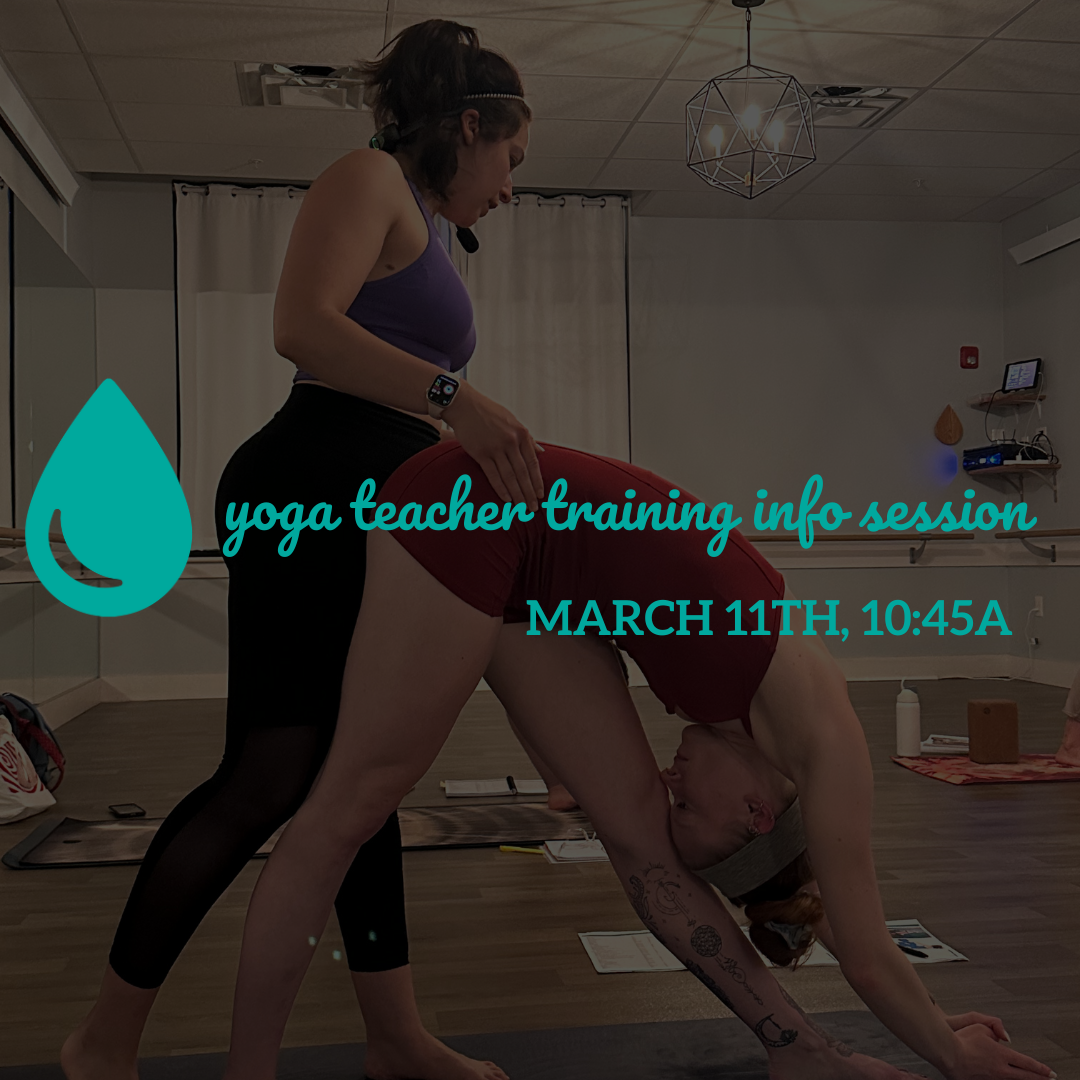 teacher training info session