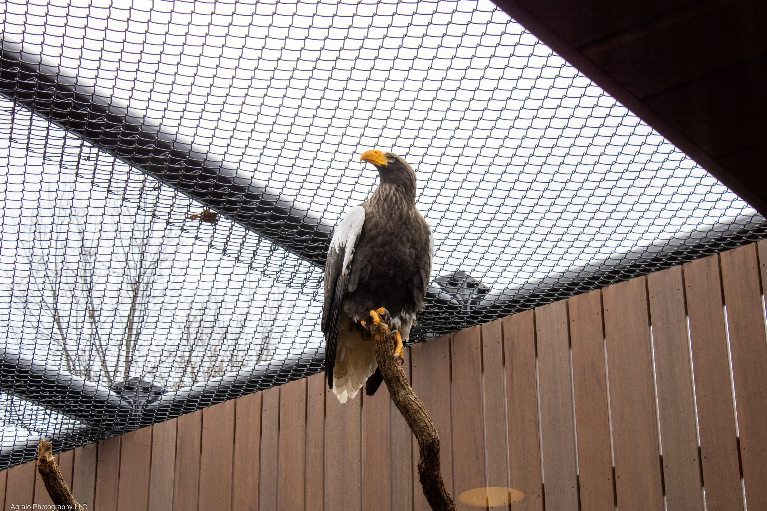 IMG_1636.jpg