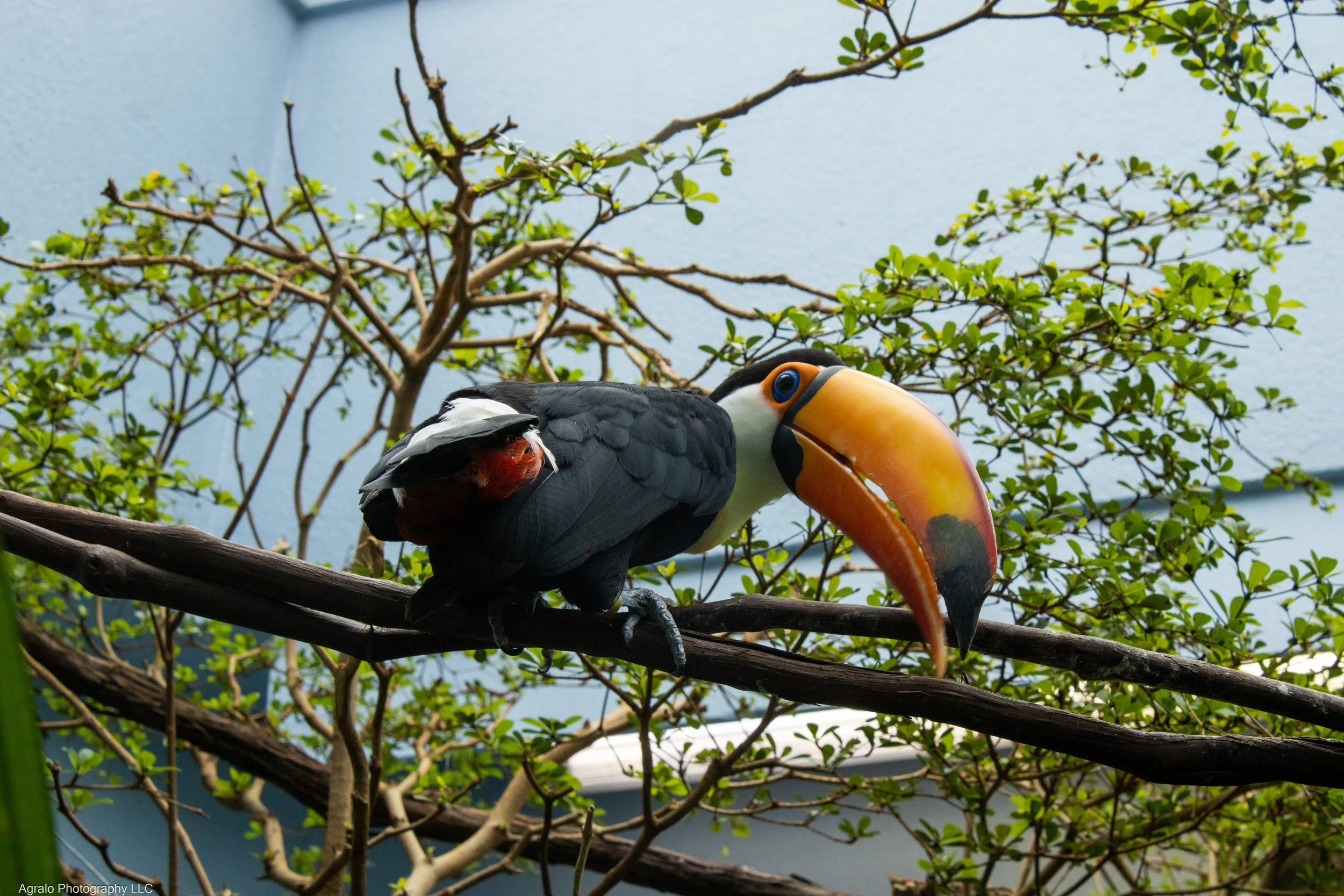 IMG_1646.jpg