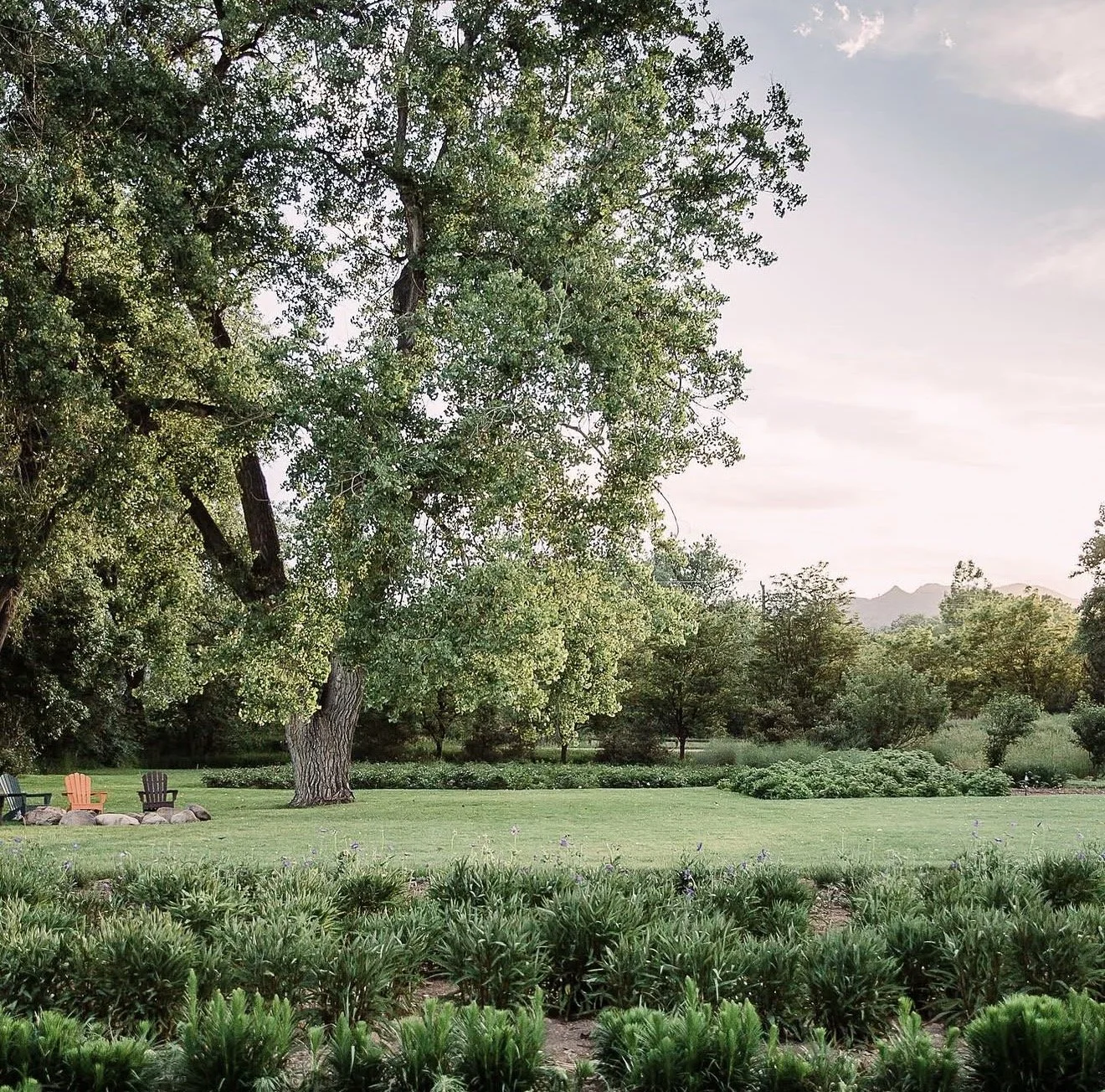 Half-Day Summer Solstice Retreat
