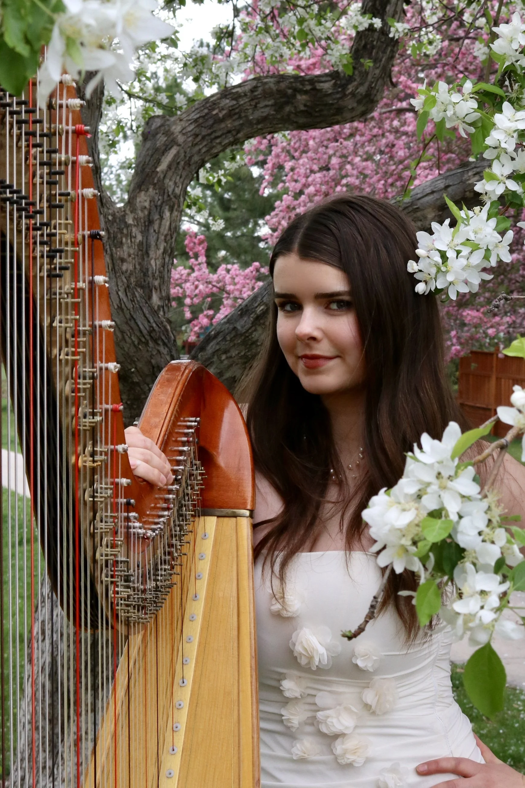Vin-Yin Accompanied by Harp